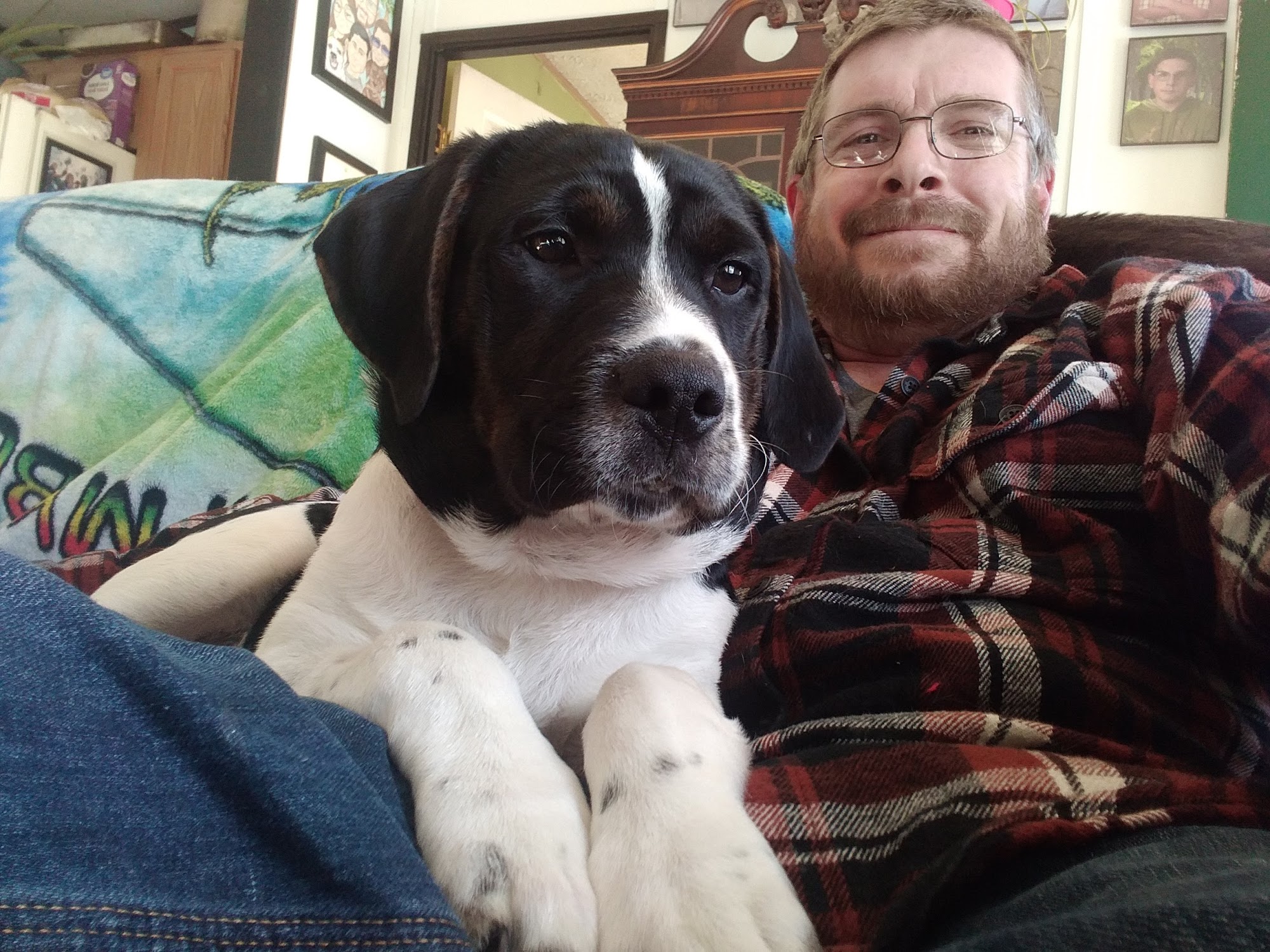 P.A.W.S. Animal Adoption Center Camden