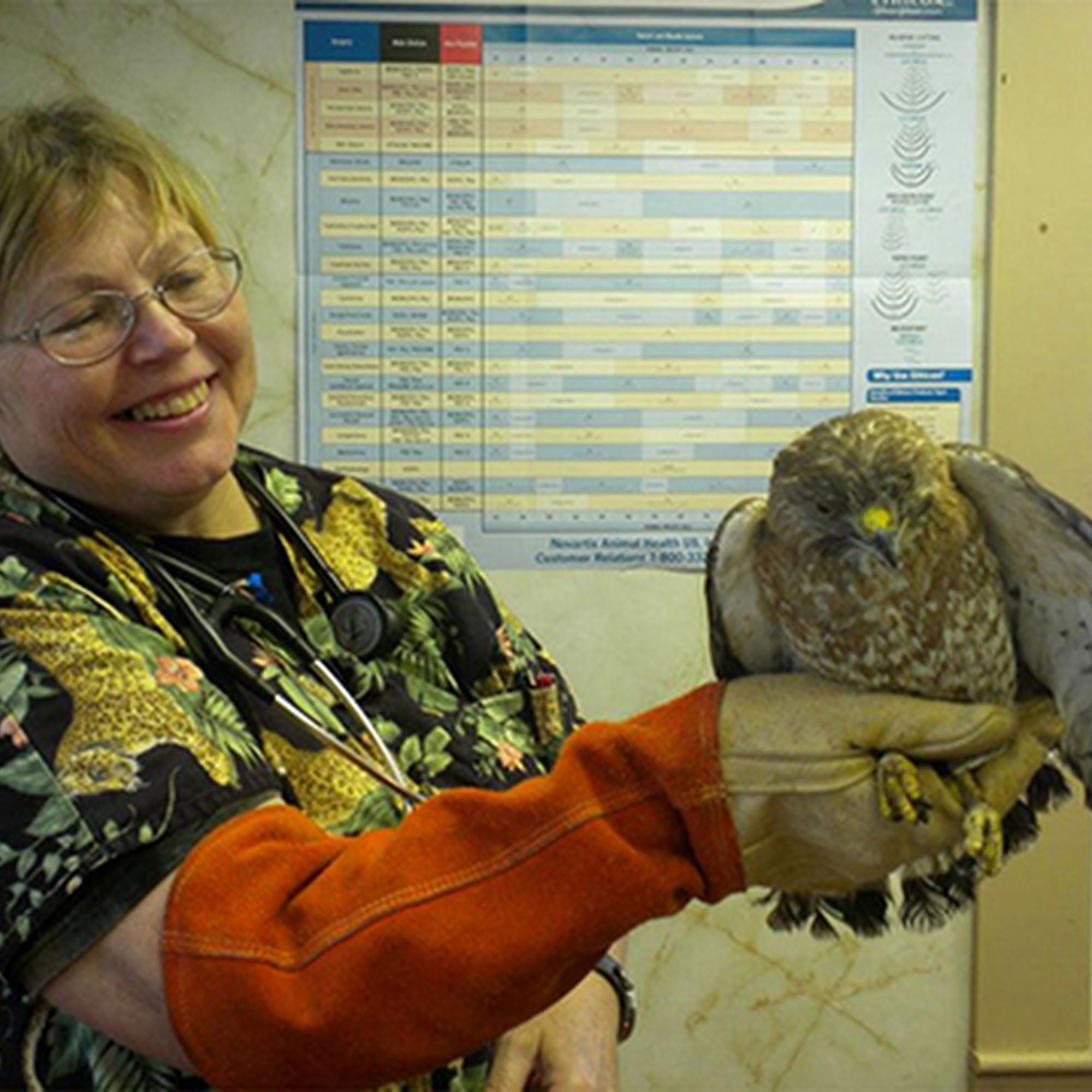 Damariscotta Veterinary Clinic Damariscotta