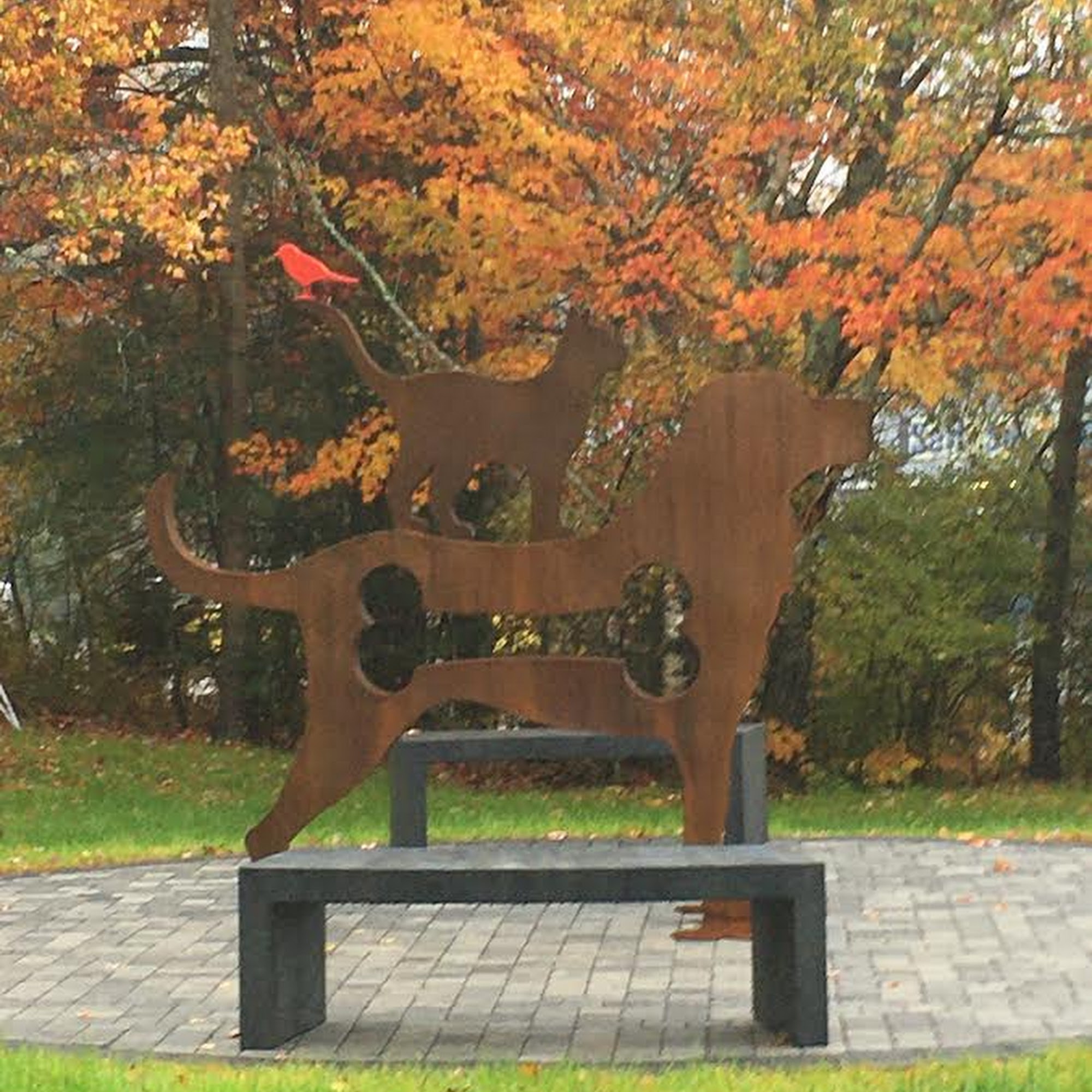 Small Animal Clinic Ellsworth