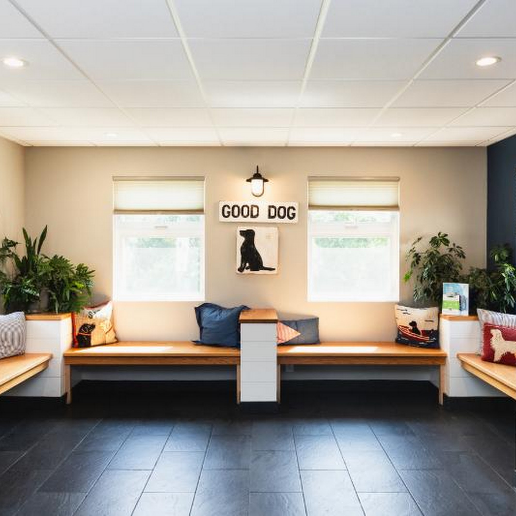 Falmouth Veterinary Hospital Falmouth