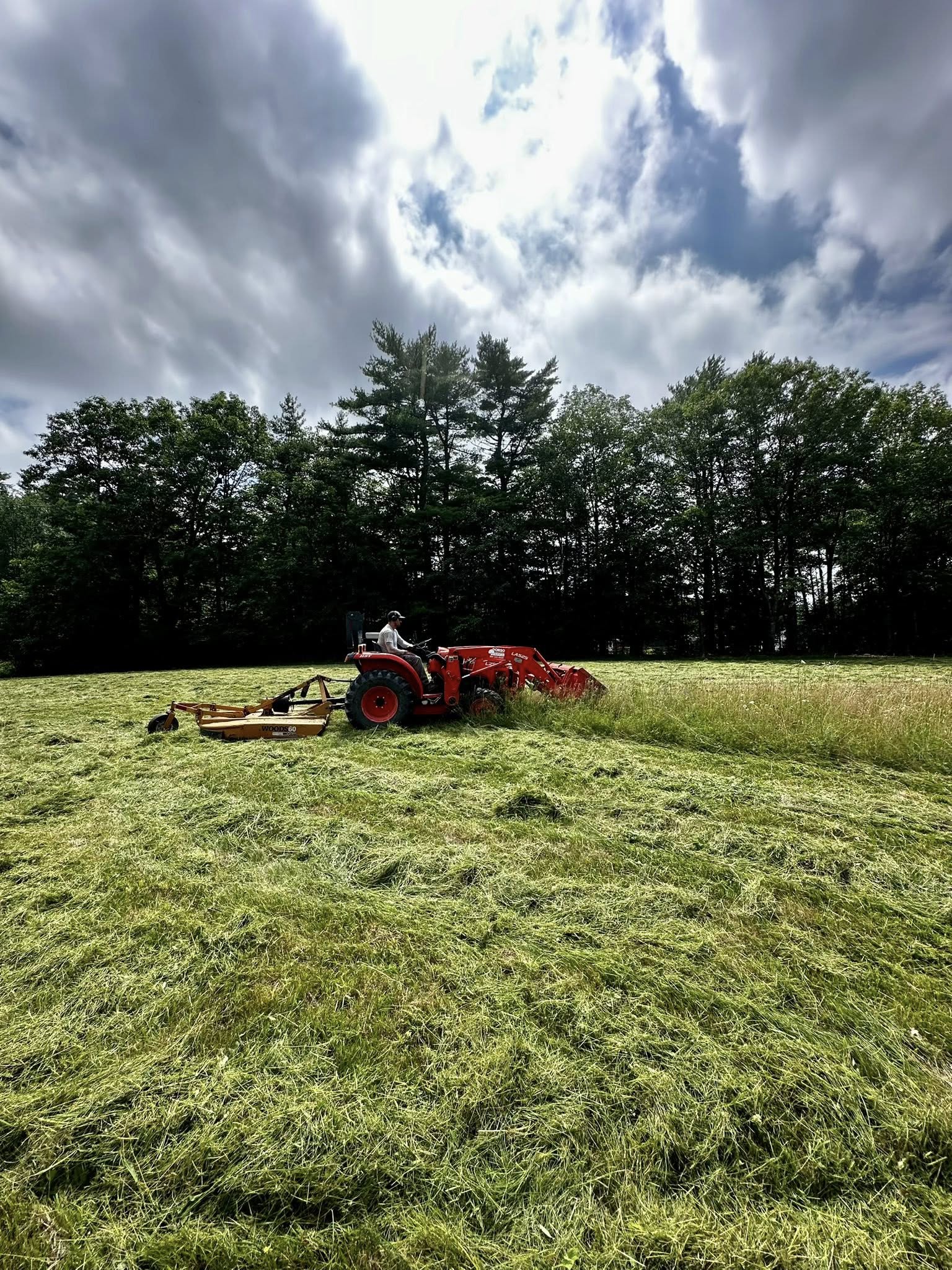 Dorso & Son Property Maintenance