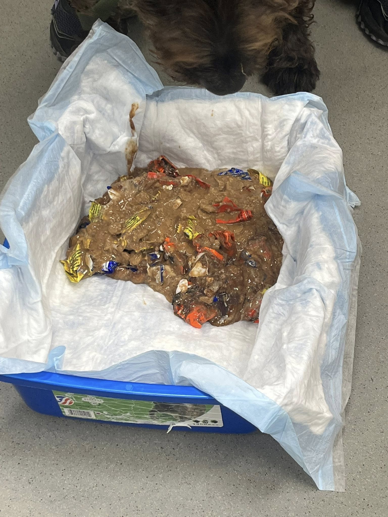 PetMedic Urgent Care Vet Clinic Freeport