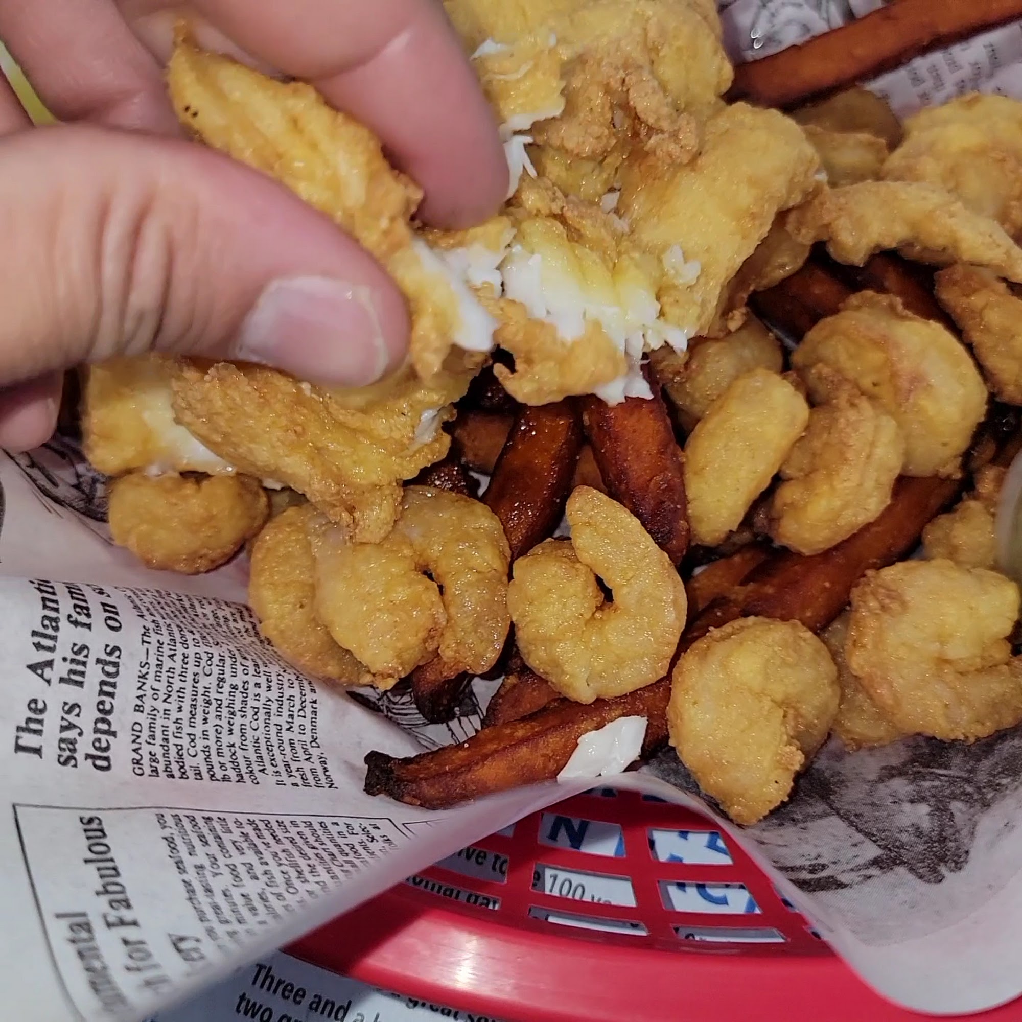 Fishermen's Net Gray