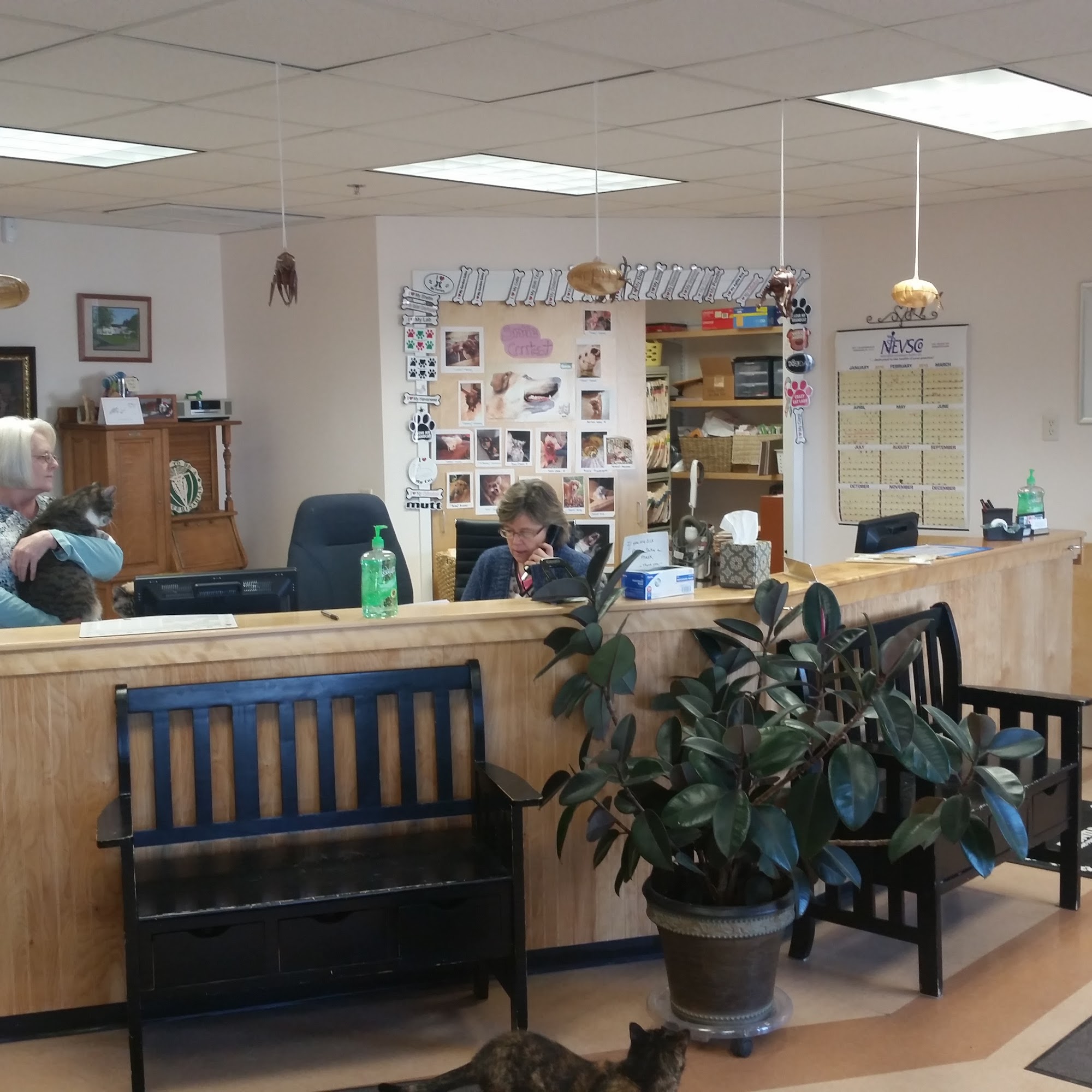 Hampden Veterinary Clinic Hampden