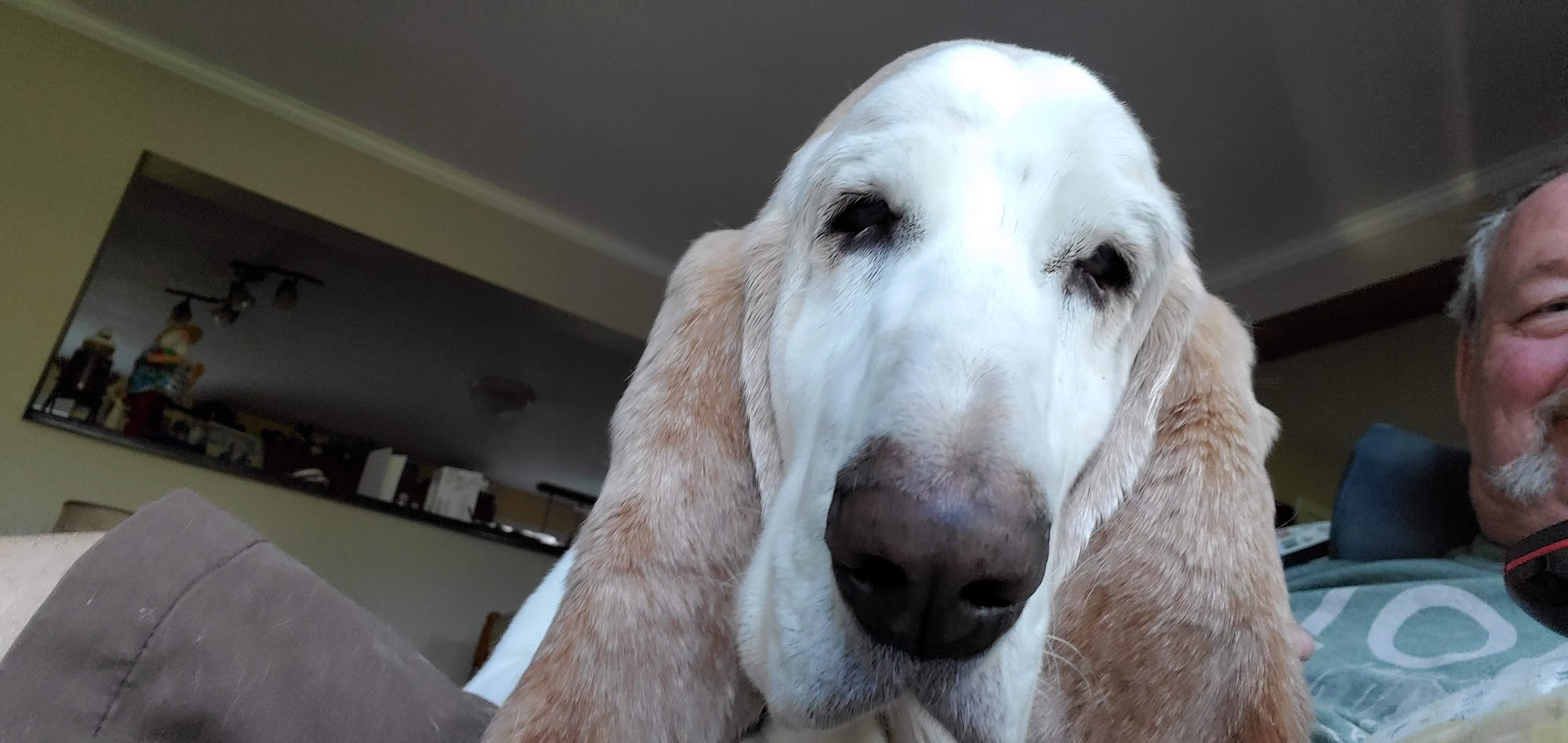 Hampden Veterinary Clinic Hampden