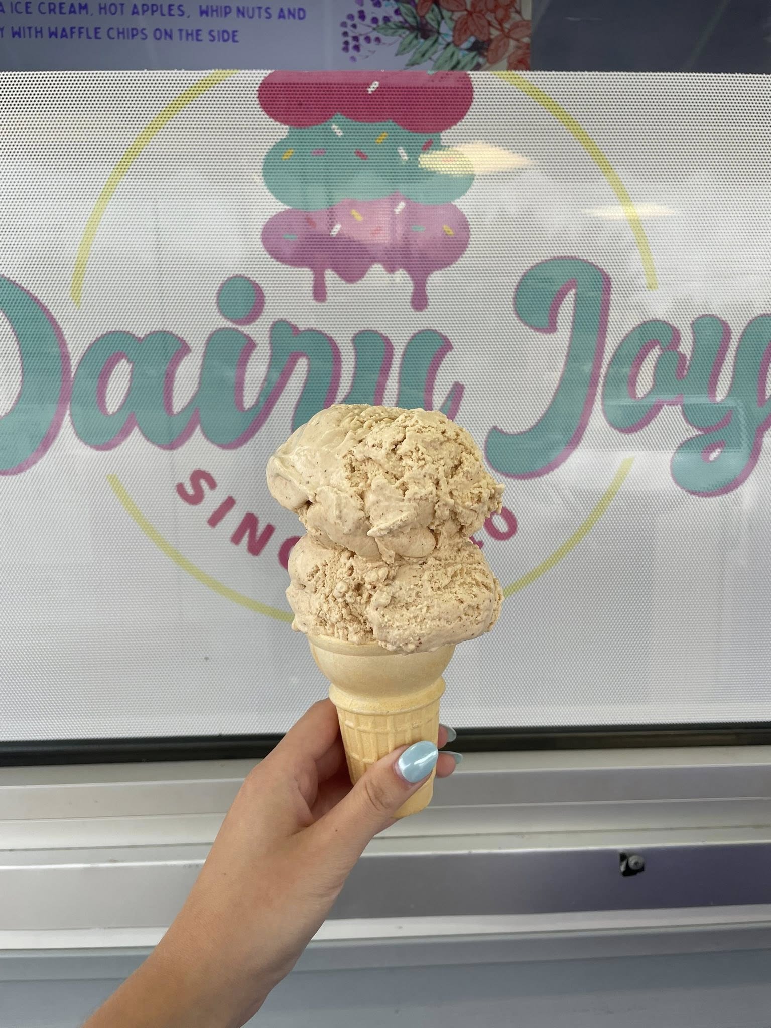 Dairy Joy Lewiston