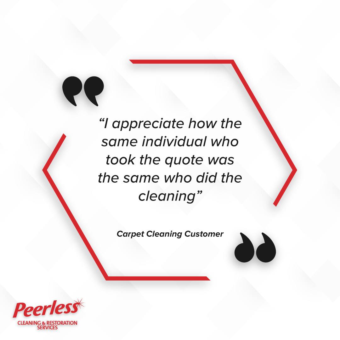 Peerless Cleaning Service