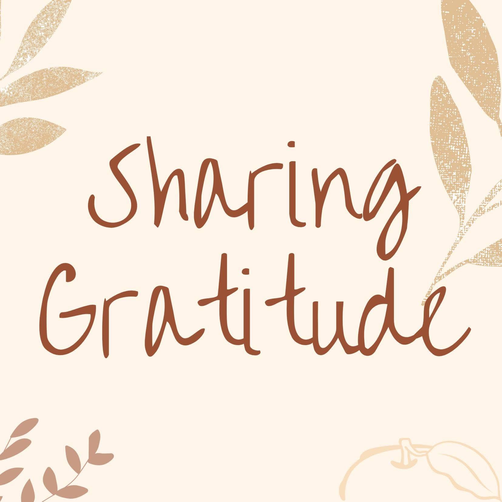 People Who Care Food Cupboard Madison