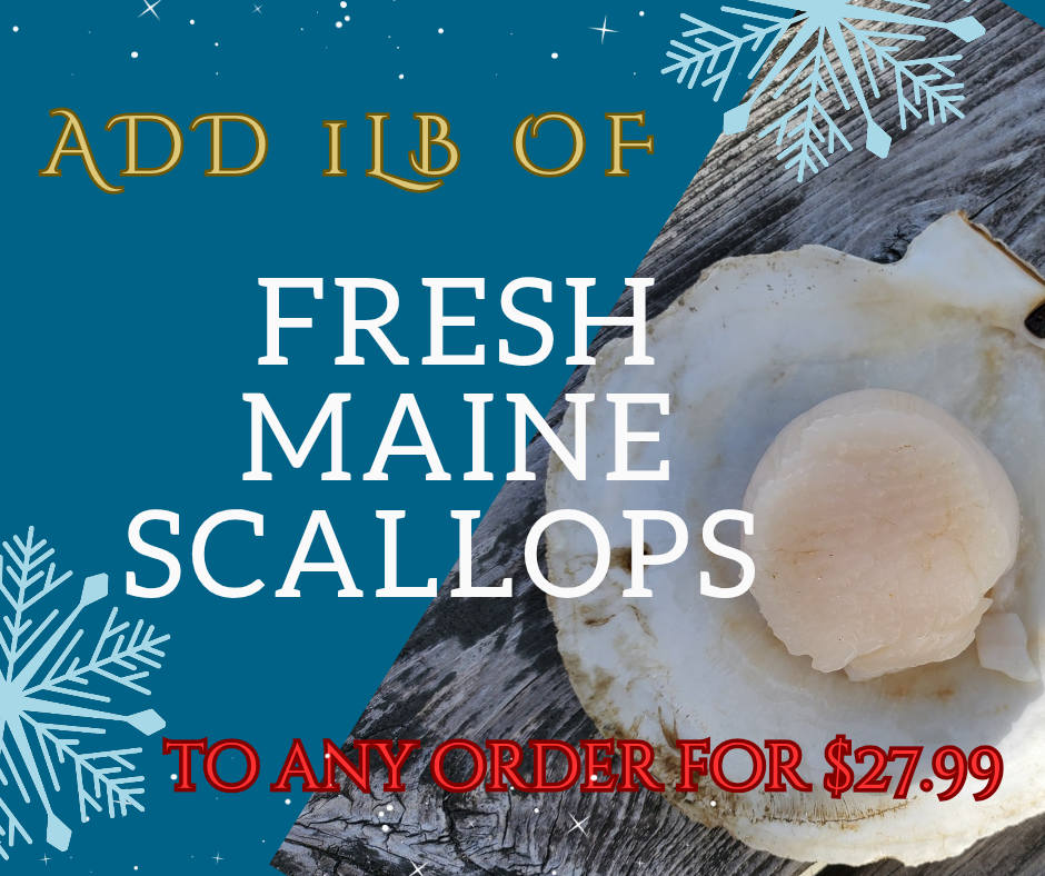 Chipman's Wharf Milbridge