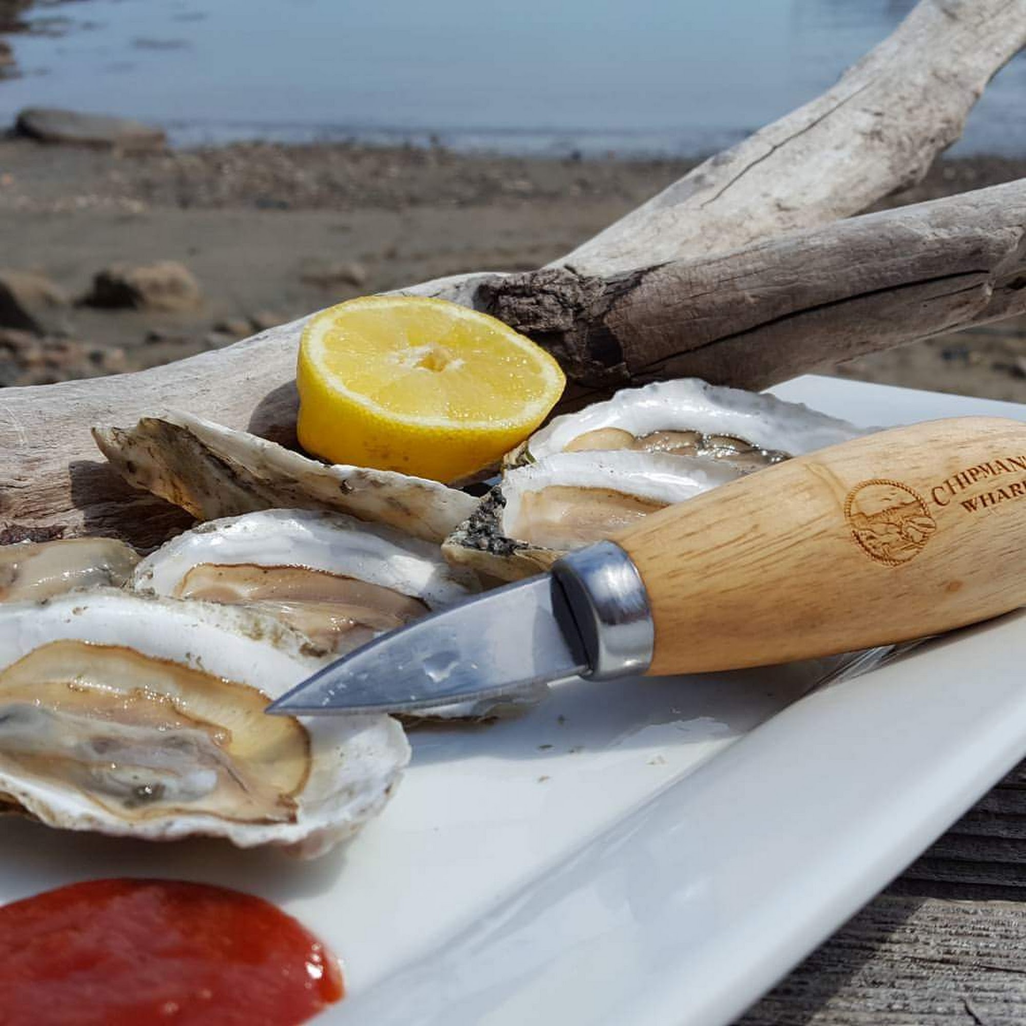 Chipman's Wharf Milbridge