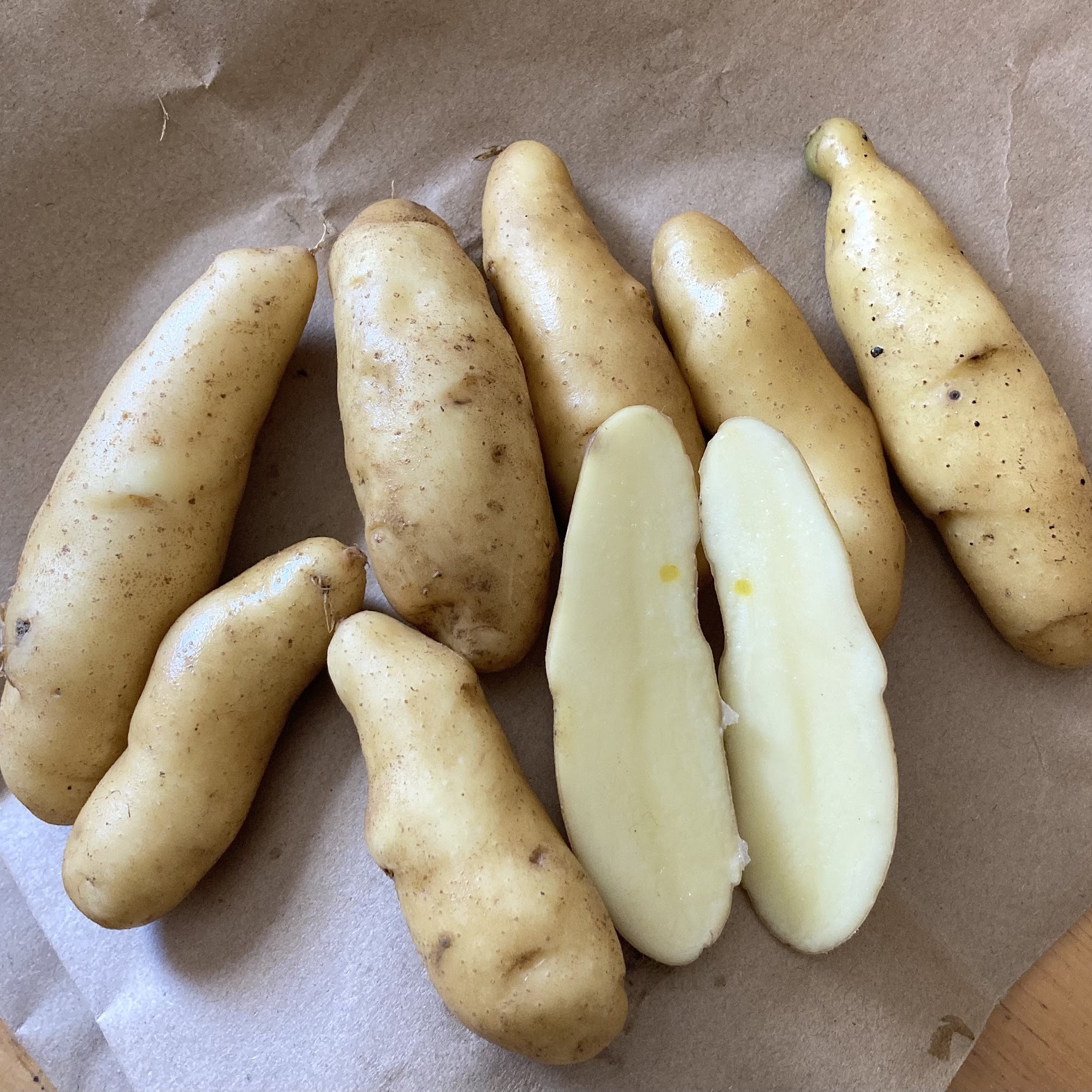 Nature's Circle Farm New Limerick