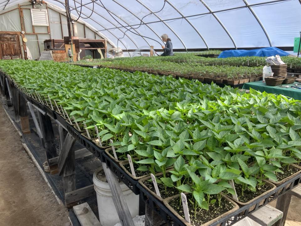 Living Acres New Sharon