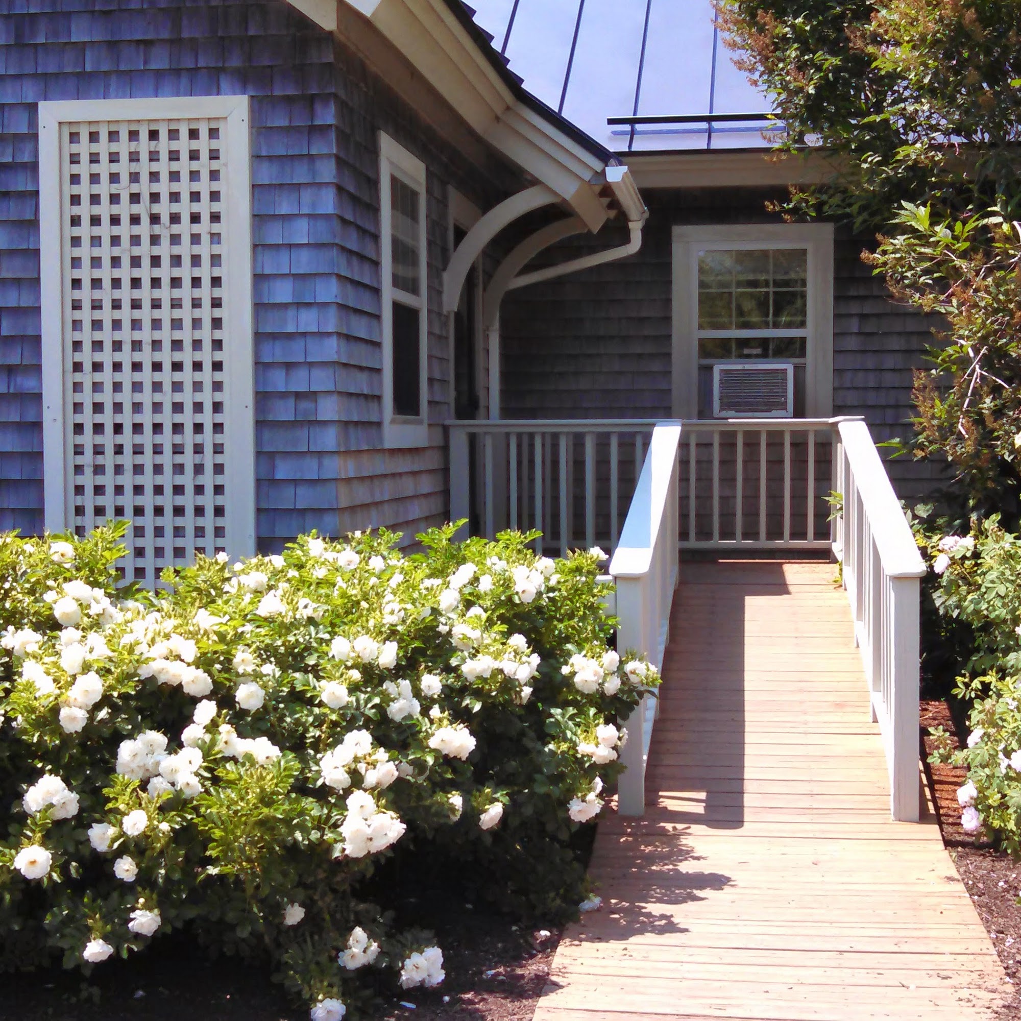 Little River Veterinary Hospital Northport