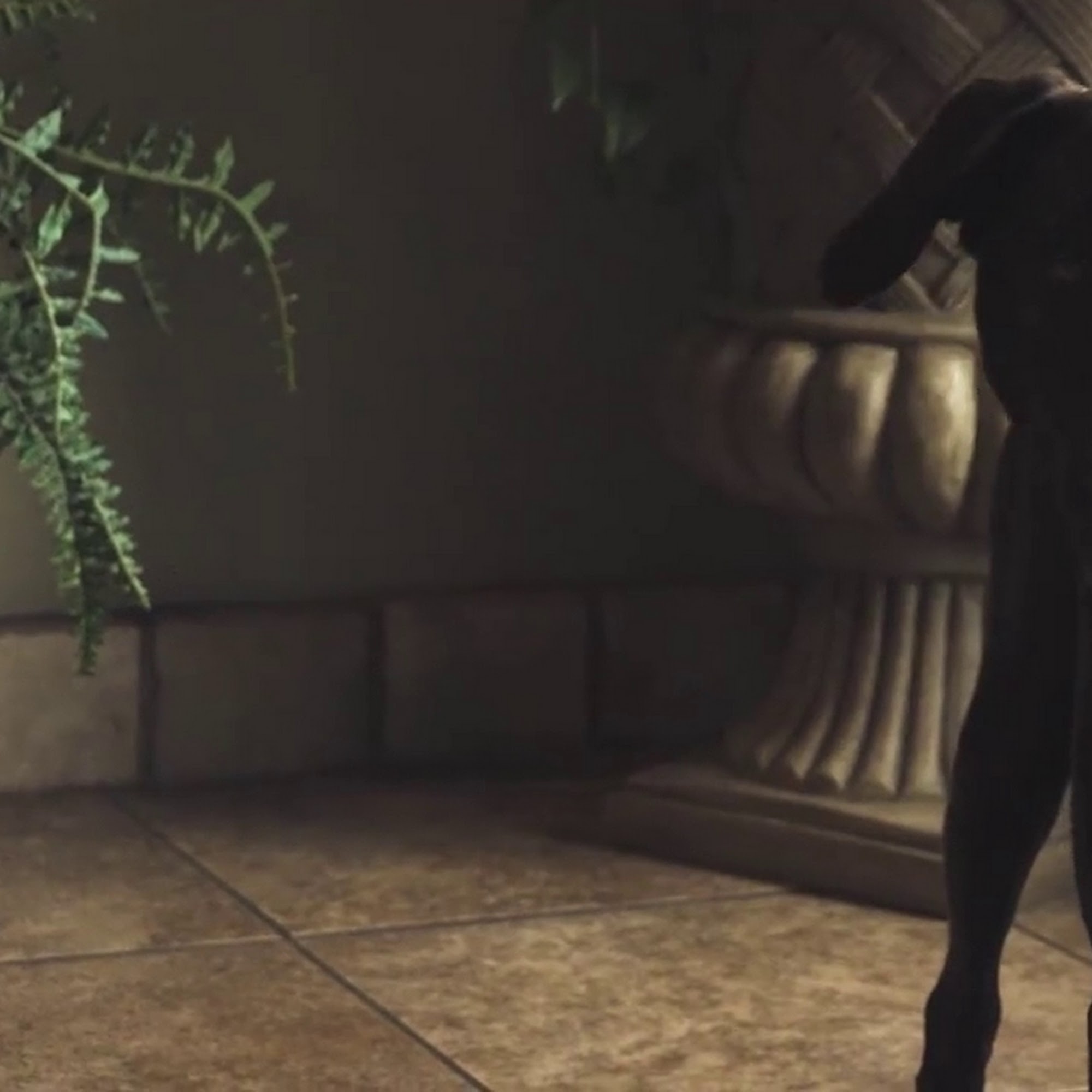 Norway Veterinary Hospital Norway