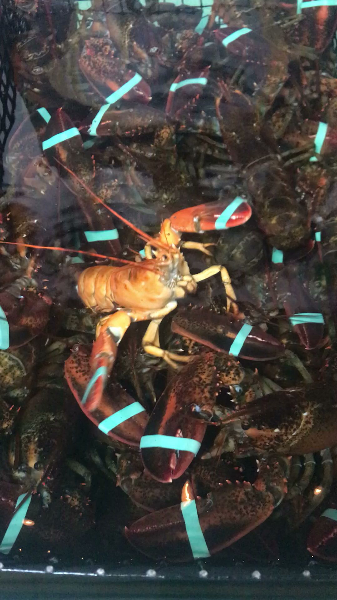 Crabby Lobster Seafood LLC Menu