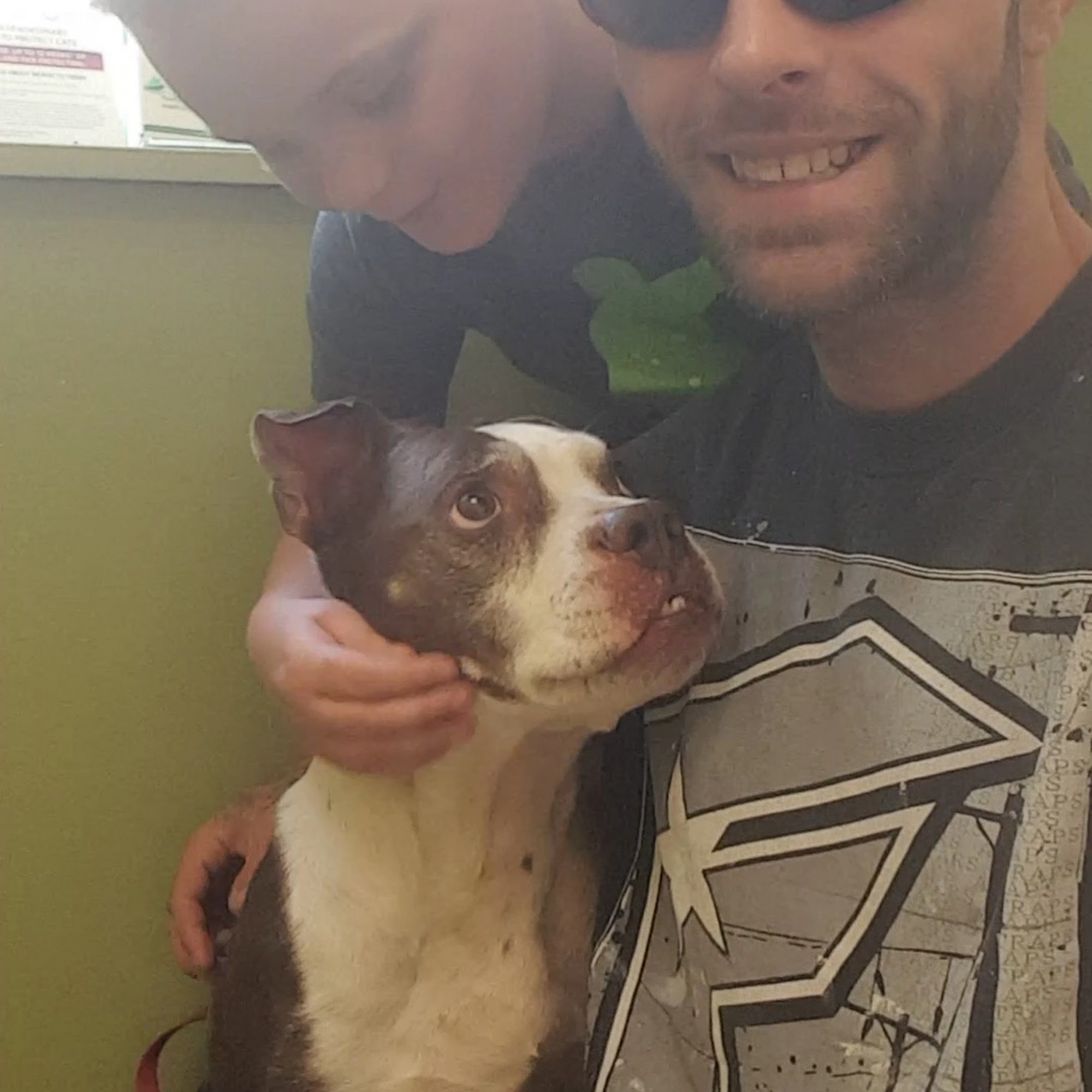 Poland Animal Hospital Poland