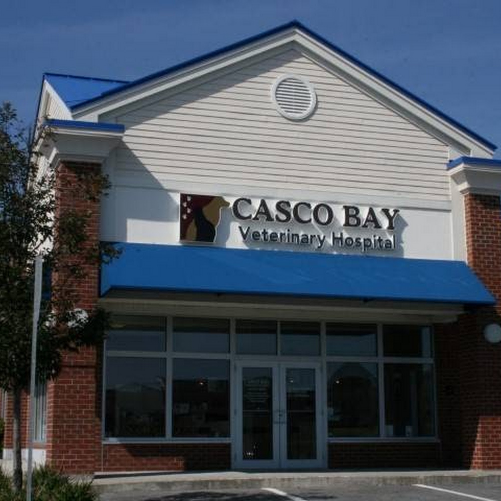 Casco Bay Veterinary Hospital Portland