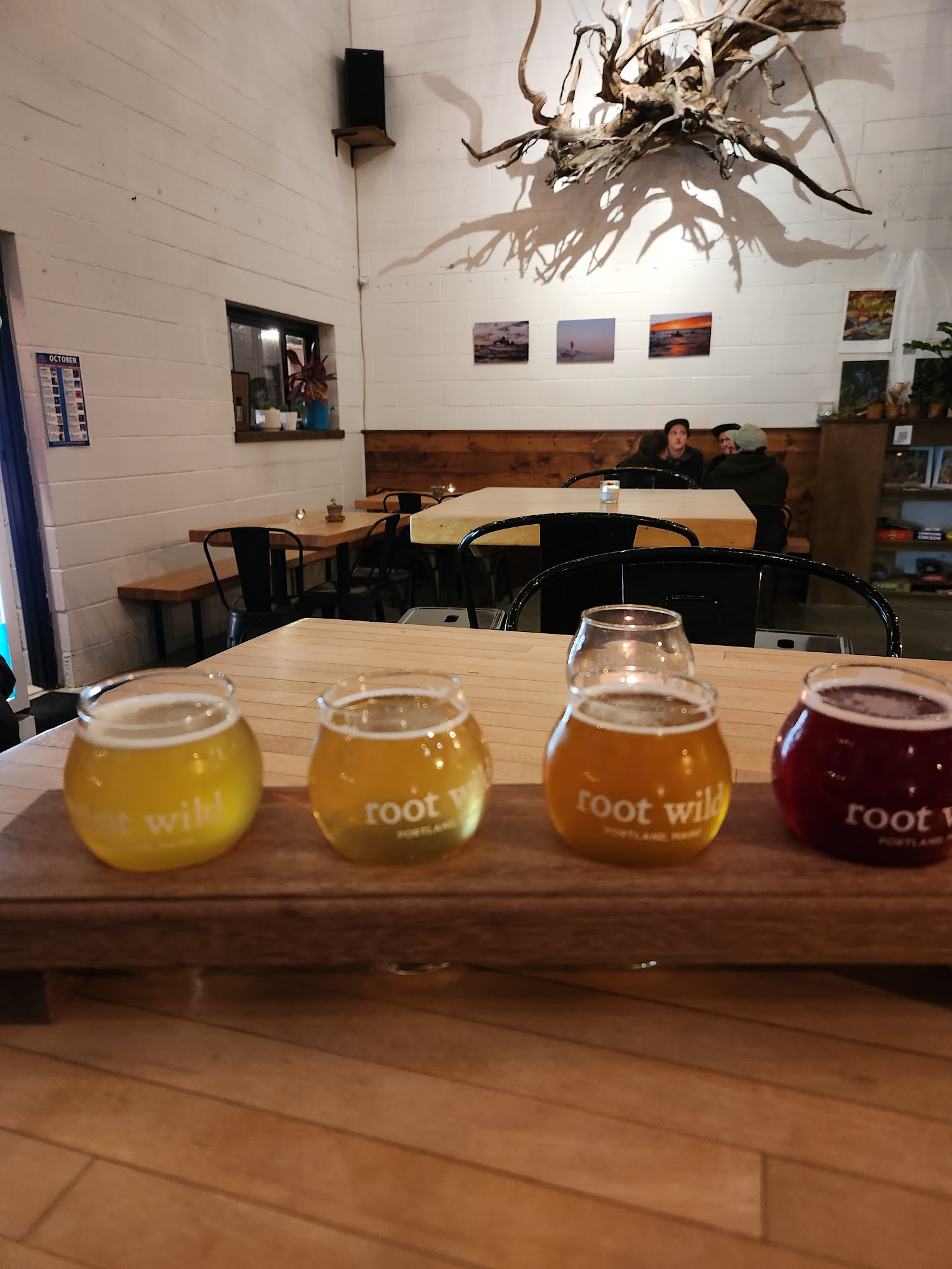 Root Wild Kombucha Portland