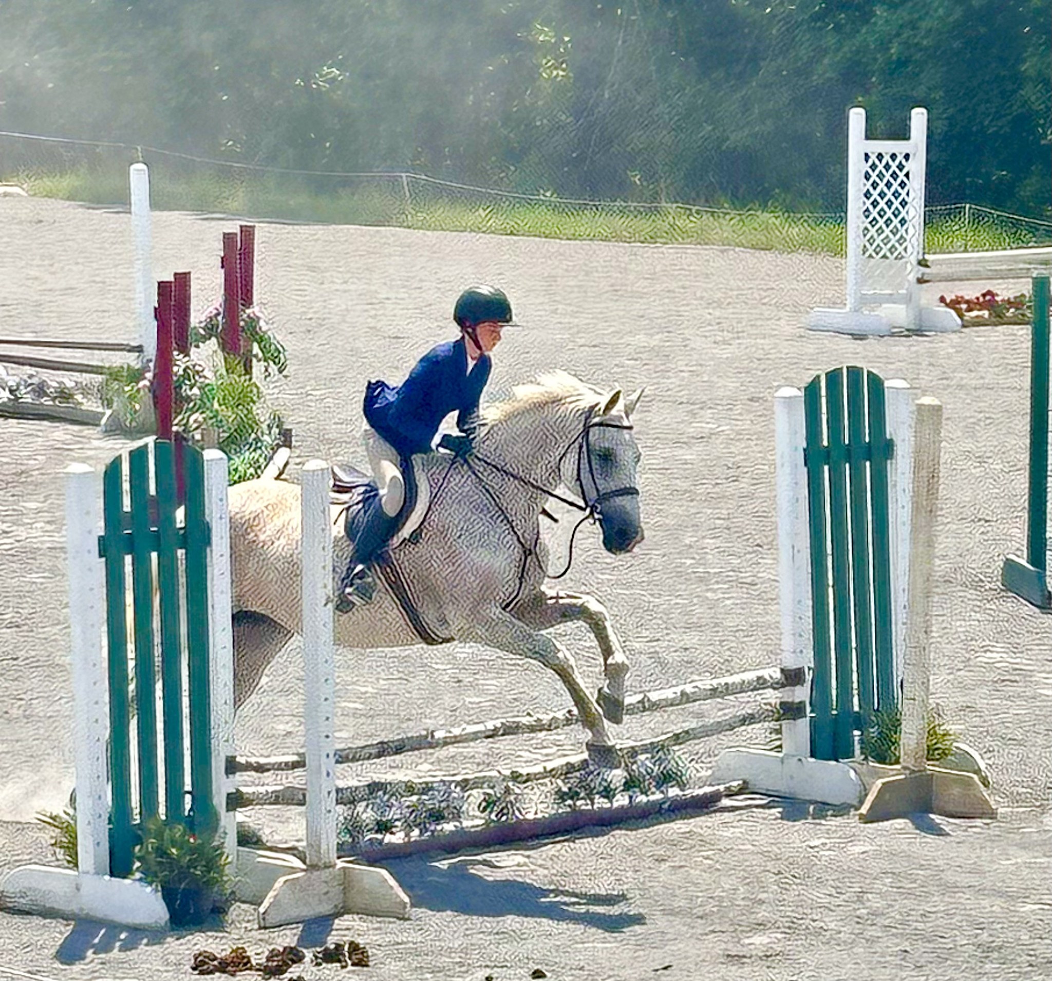 Lucky Clover Stables Sanford