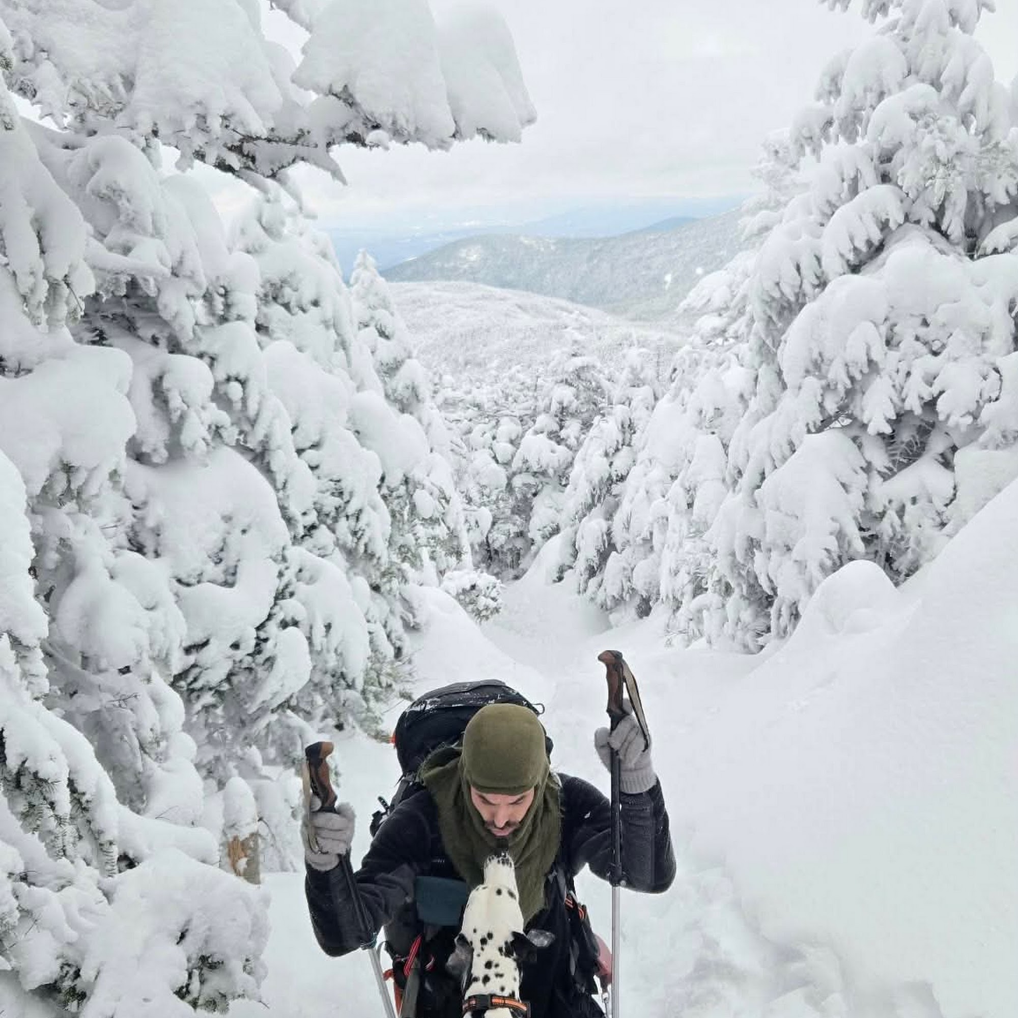 Tender Touch Veterinary Hospital Scarborough