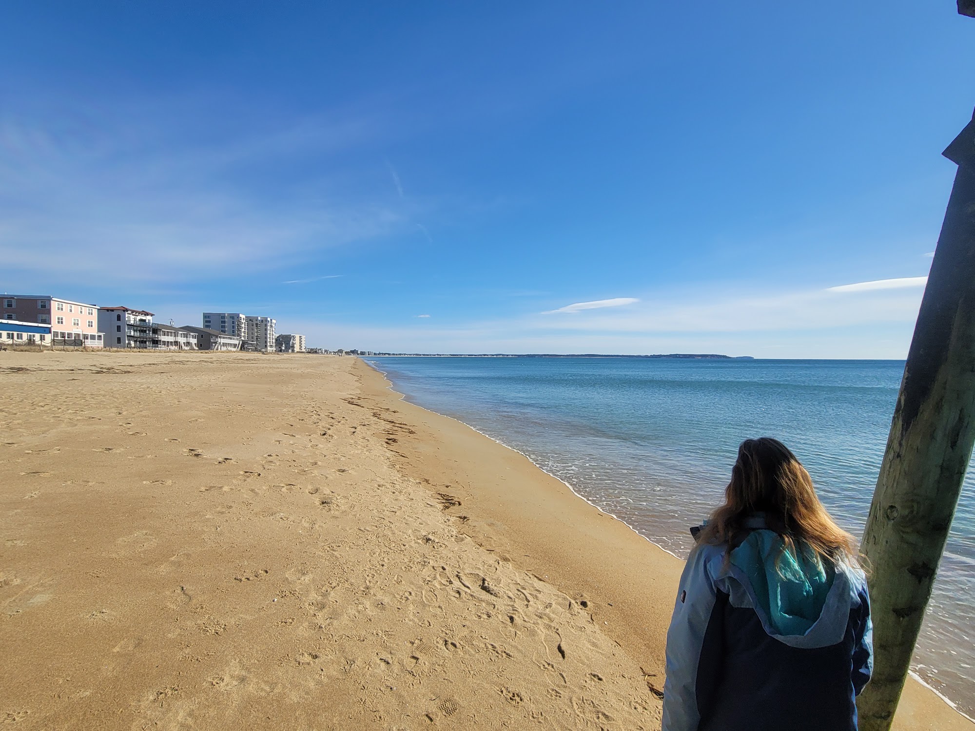 Pine Point Animal Hospital: Barksdale Ann DVM, Erswell Katie DVM Scarborough