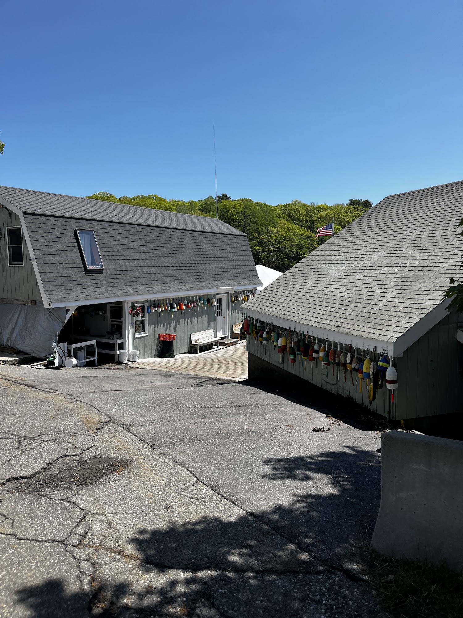 South Bristol Fisherman’s Co-op Menu