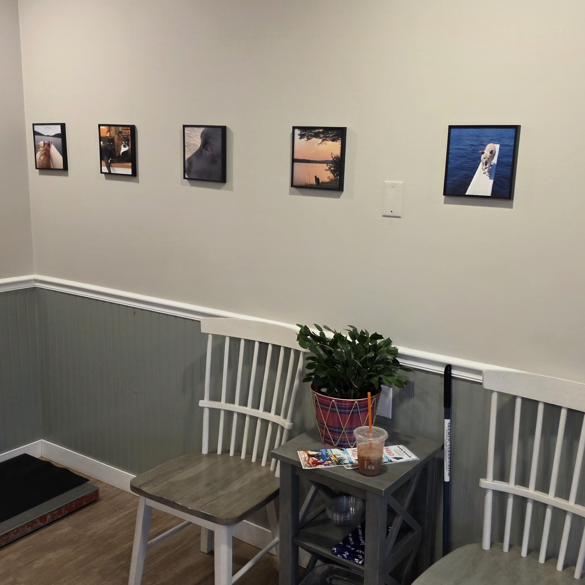 Schoodic Animal Hospital Sullivan