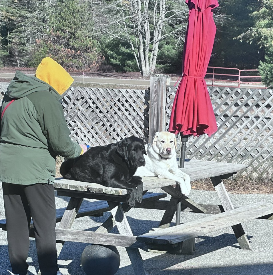 Creature Quarters Surry Surry