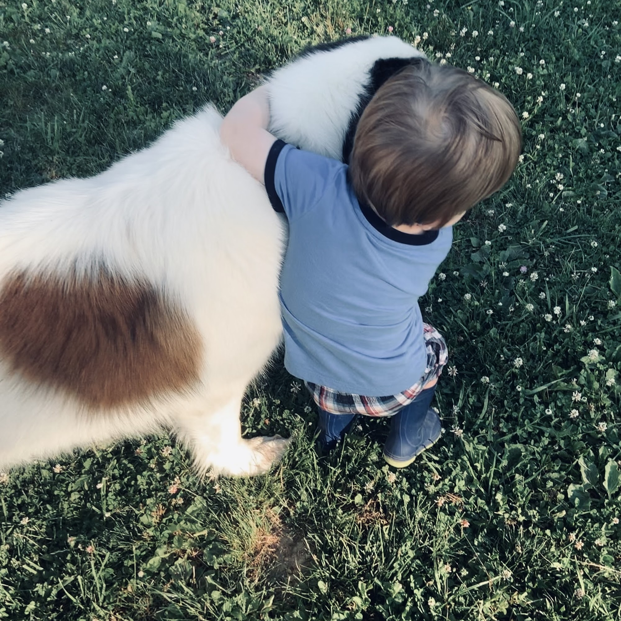 Horse And Hound Veterinary Services Thomaston