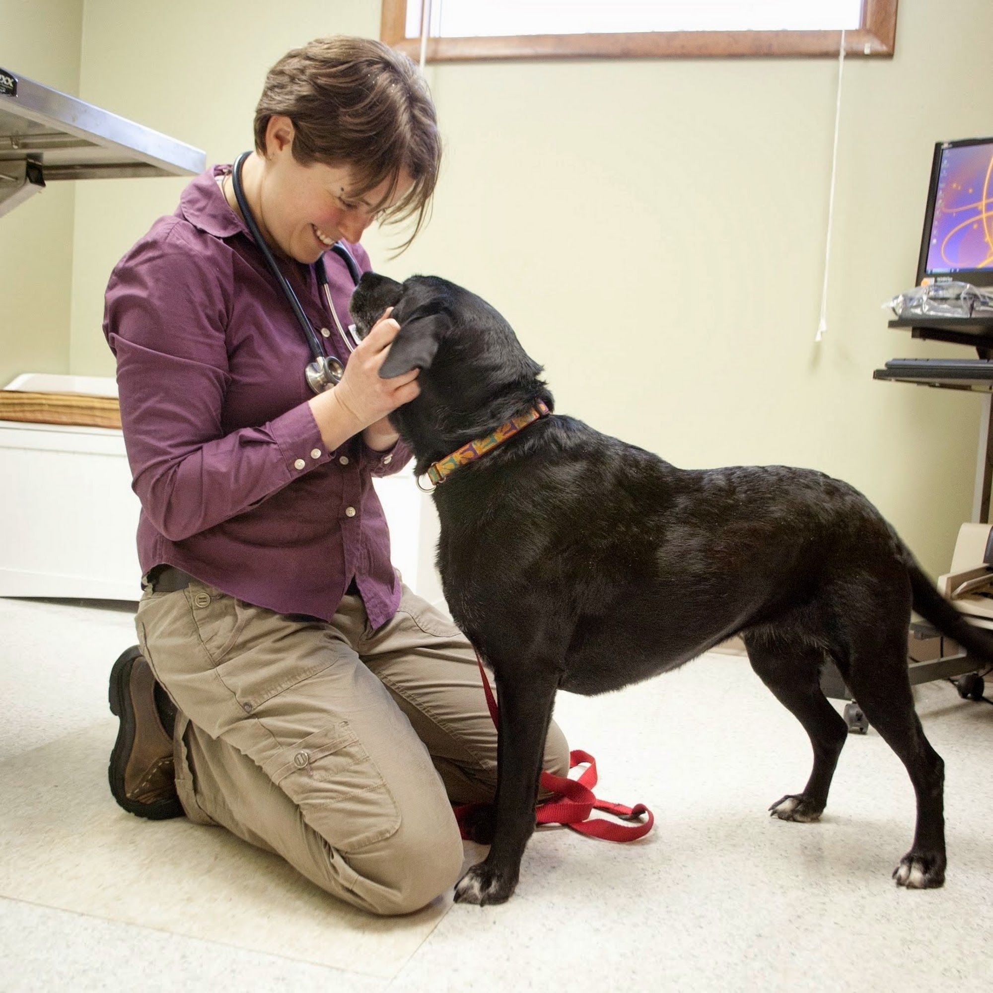 Topsham Veterinary Wellness Center Topsham