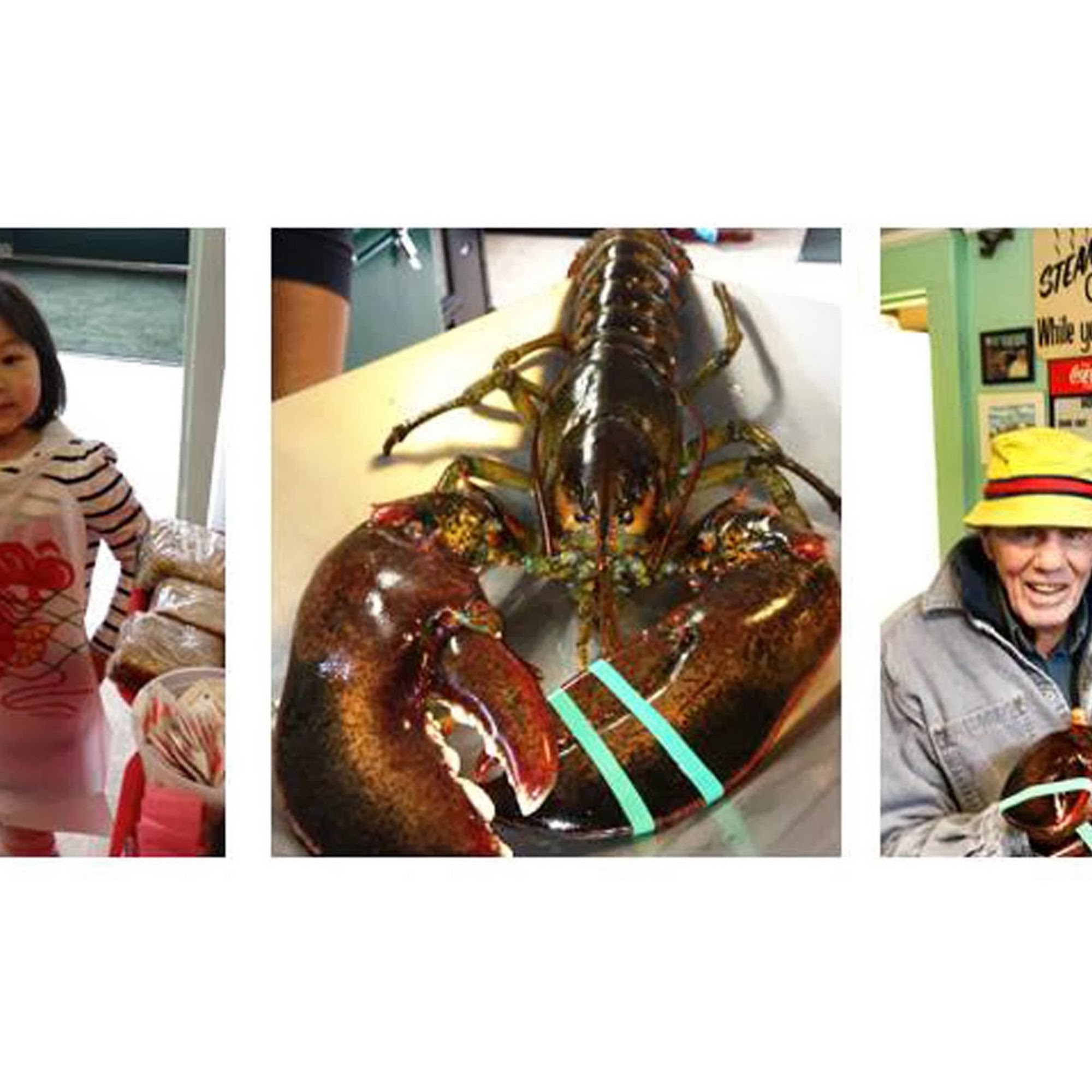 Trenton Bridge Lobster Pound Trenton