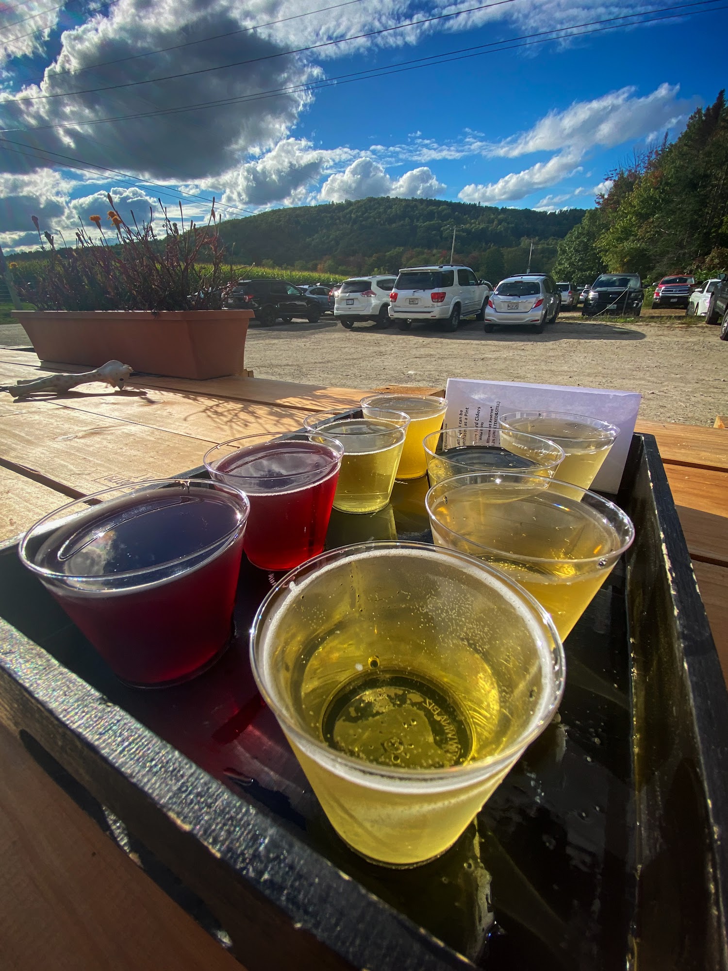 Ricker Hill Mainiac Hard Cider Turner