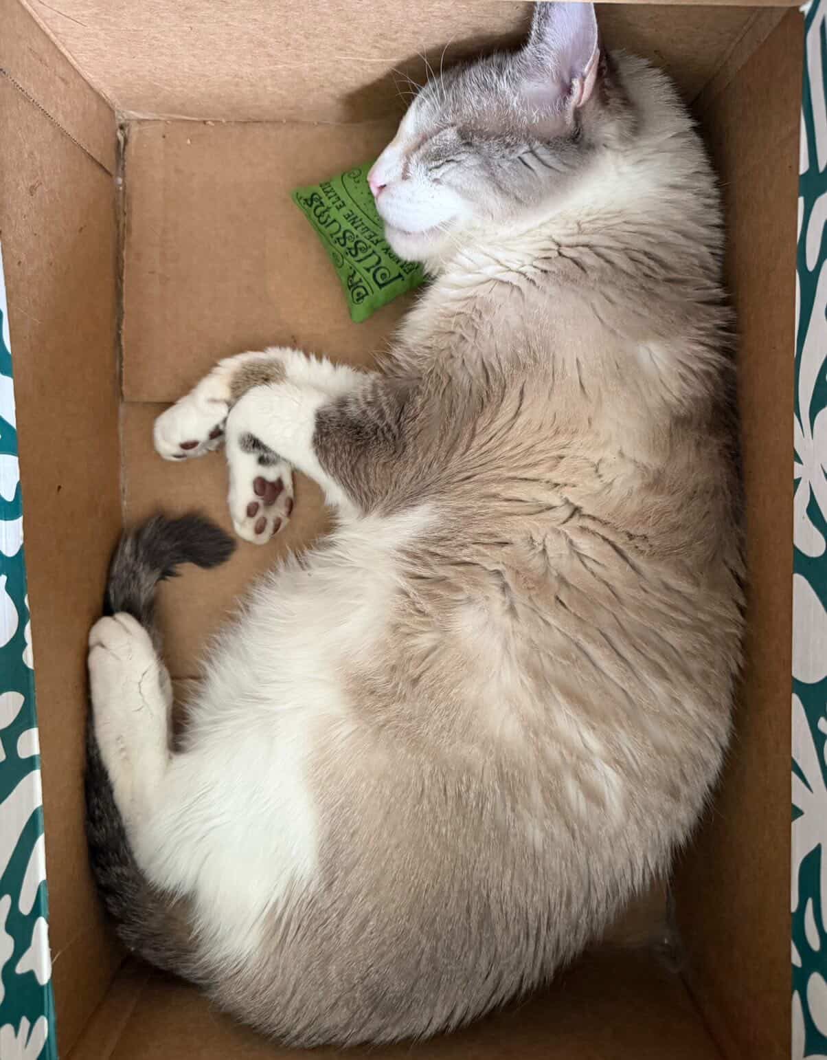 Dr. Pussums Pure Catnip Shoppe Turner