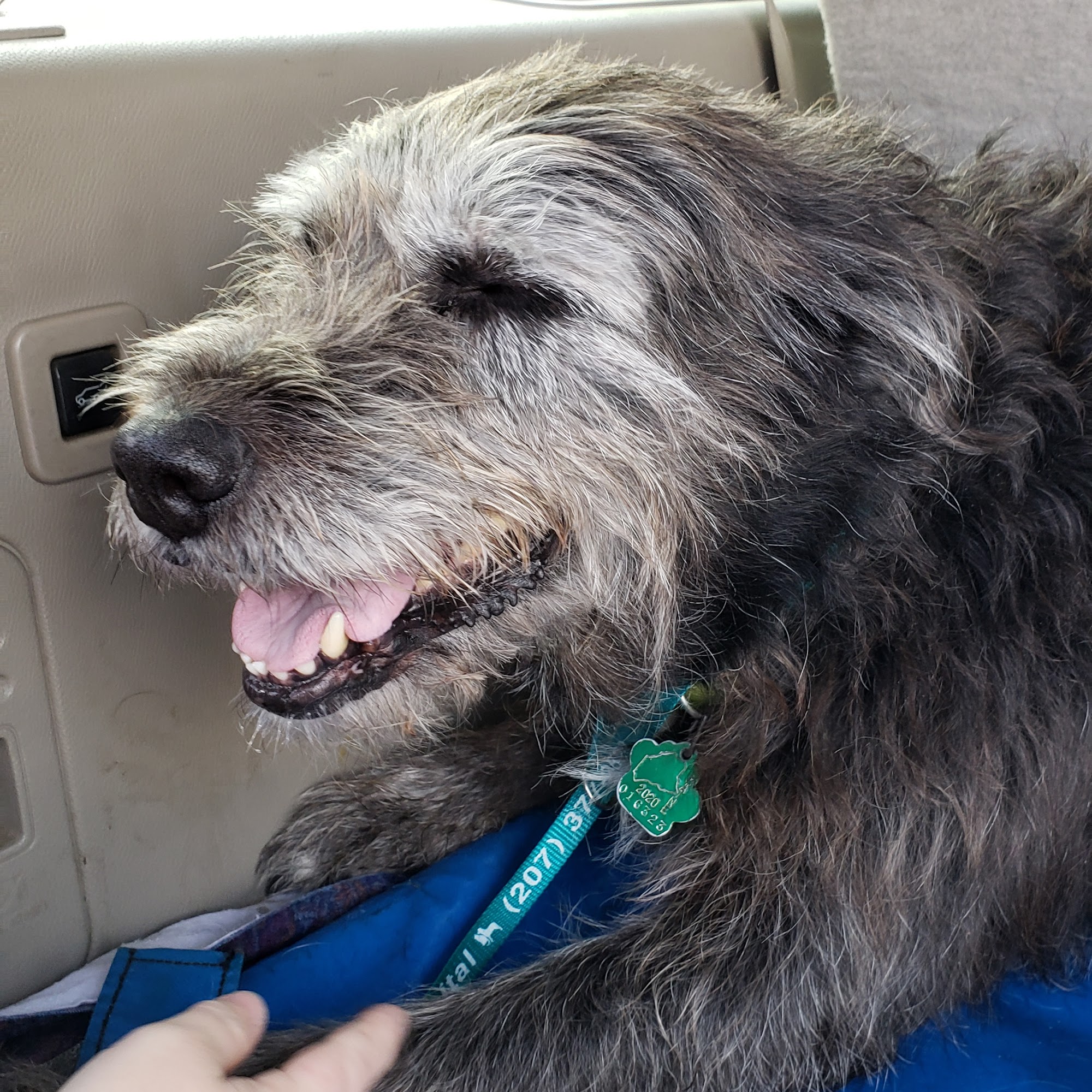 Winthrop Veterinary Hospital: Sheridan Mary DVM Winthrop