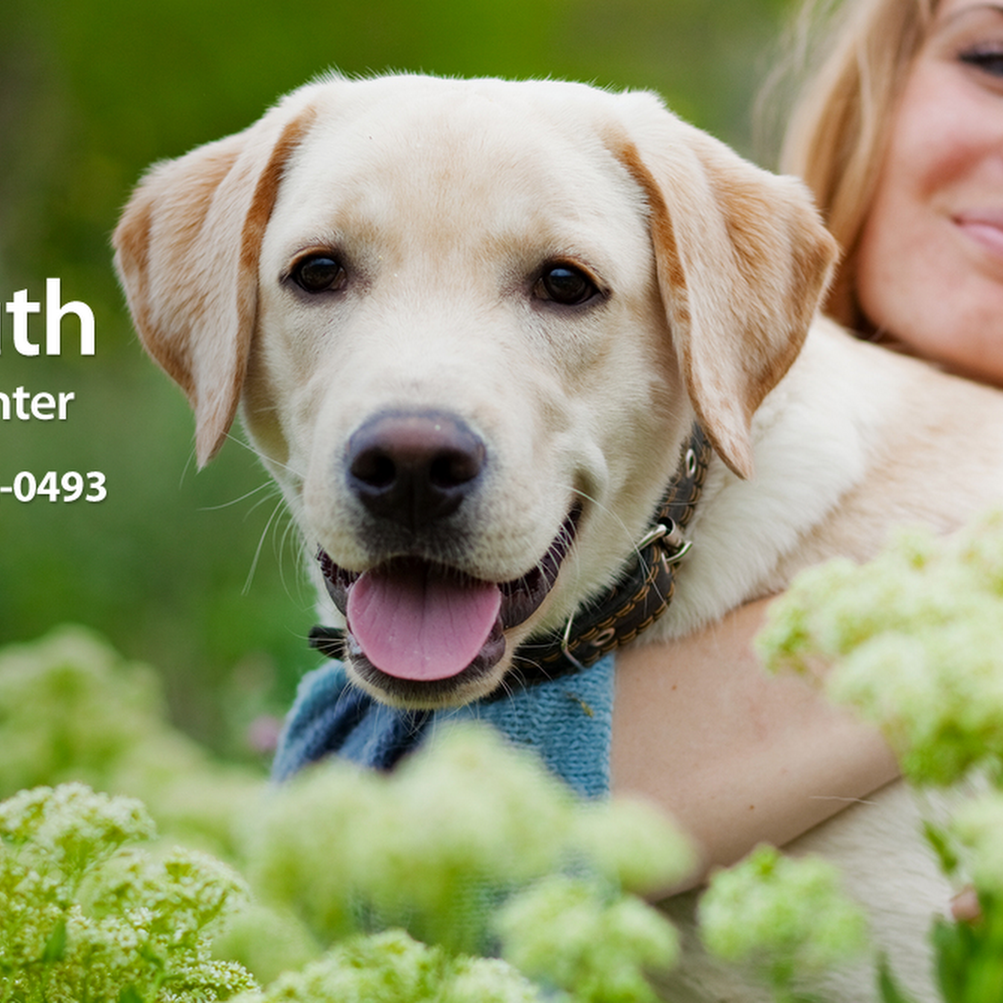 Yarmouth Veterinary Center Yarmouth