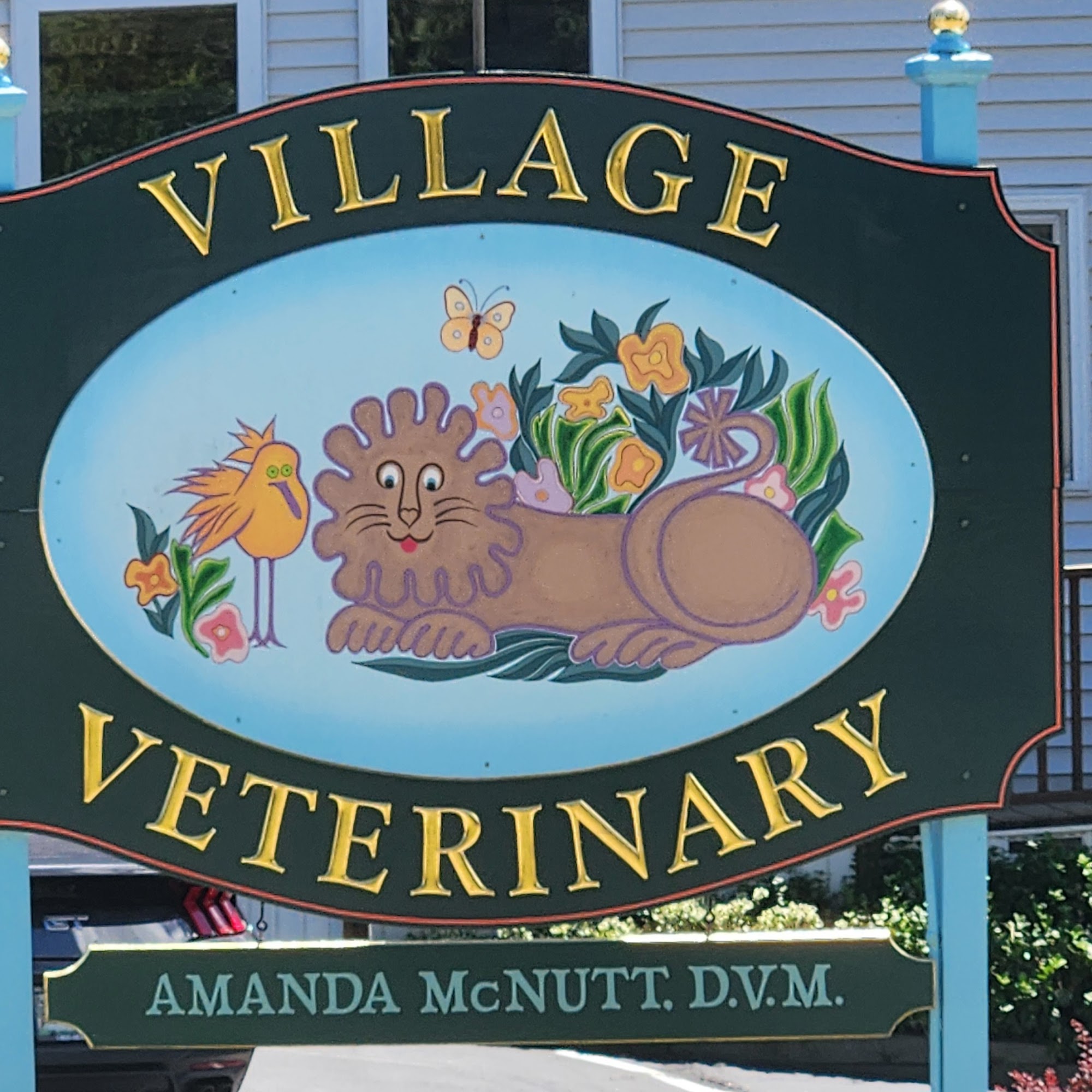 Village Veterinary York