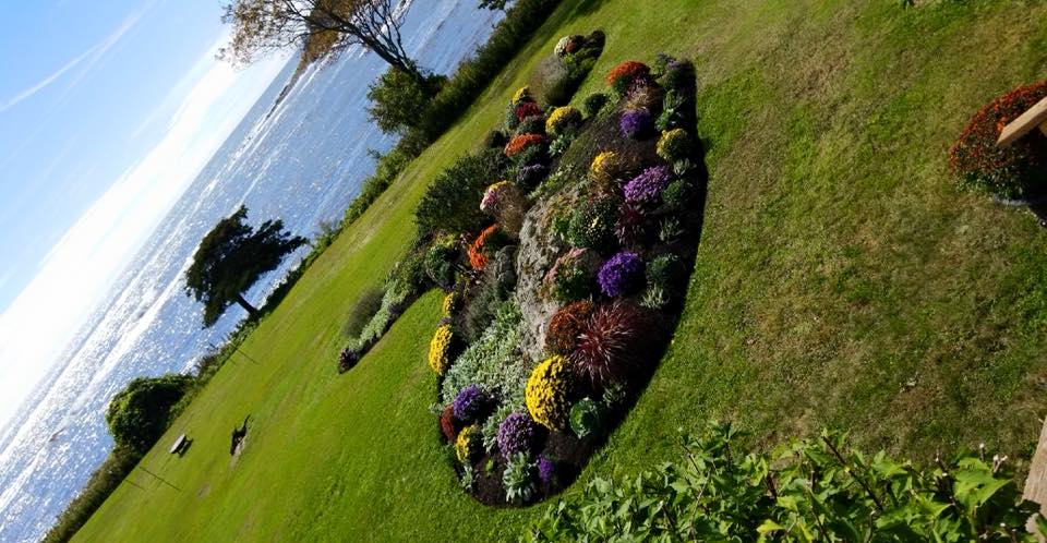 Stephen Carr Property Services