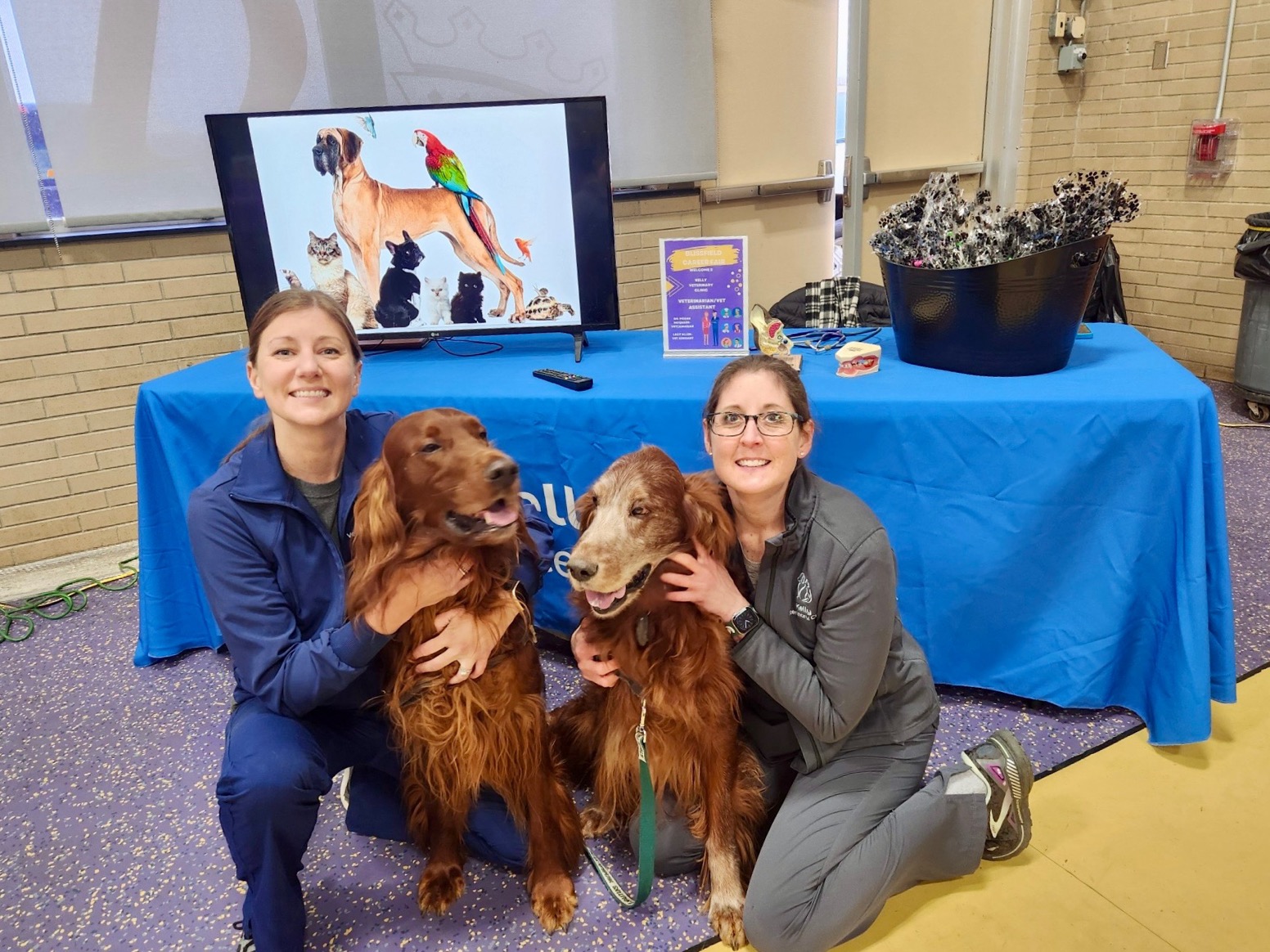 Kelly Veterinary Clinic Adrian