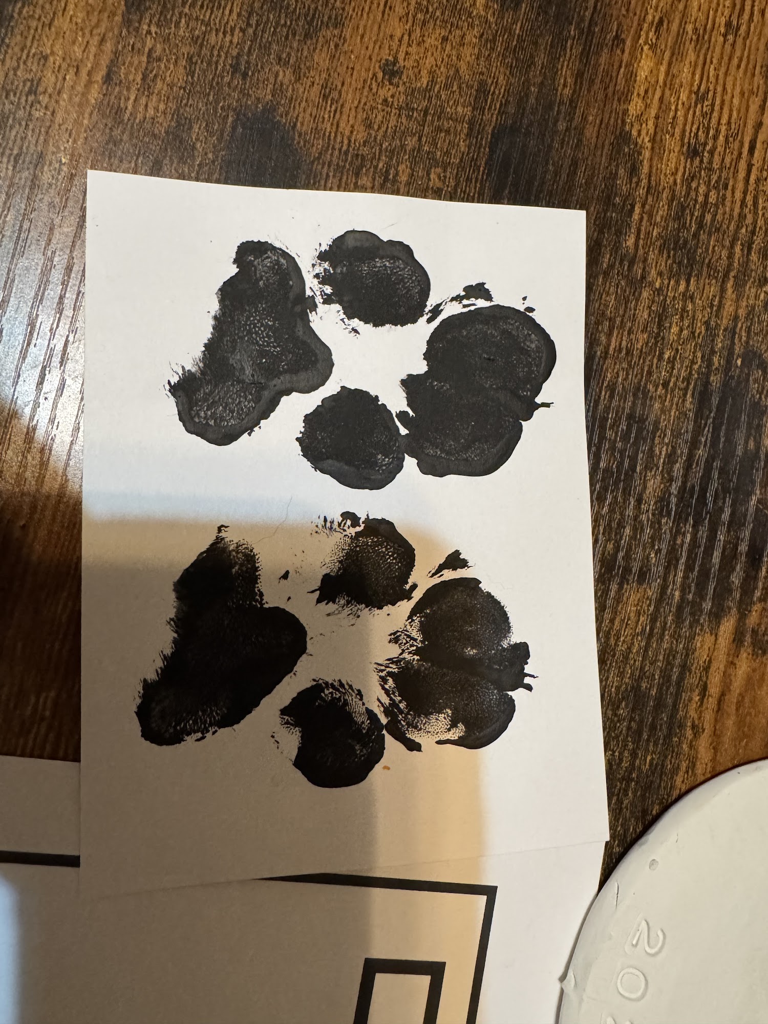 Peaceful Paws Pet Cremation LLC Adrian