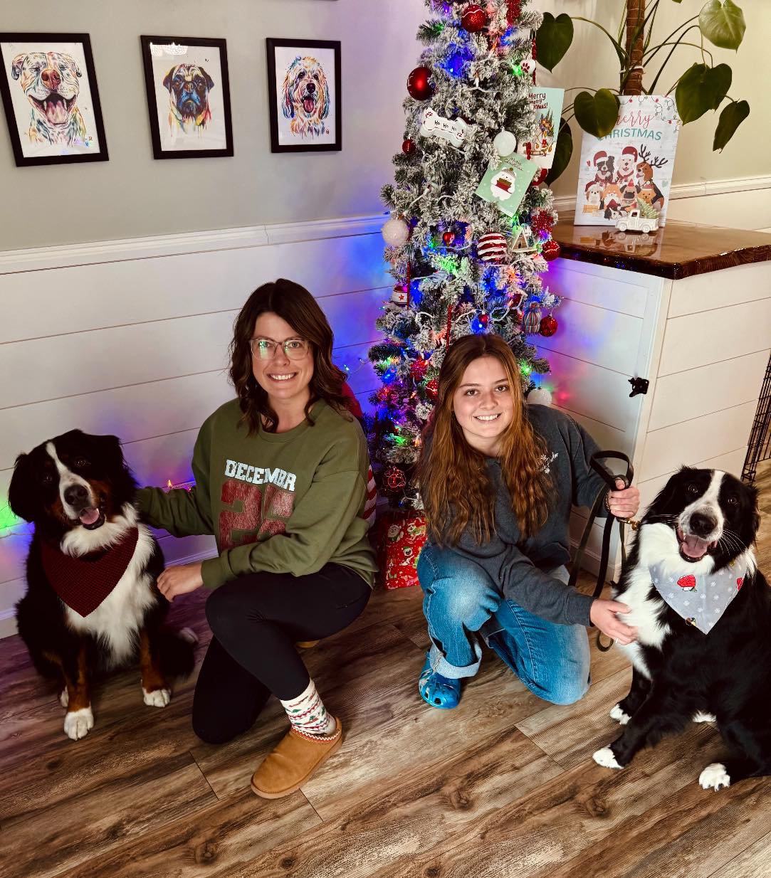 The Pooch Parlor Dog Grooming 4015 Treat Hwy, Adrian Michigan 49221