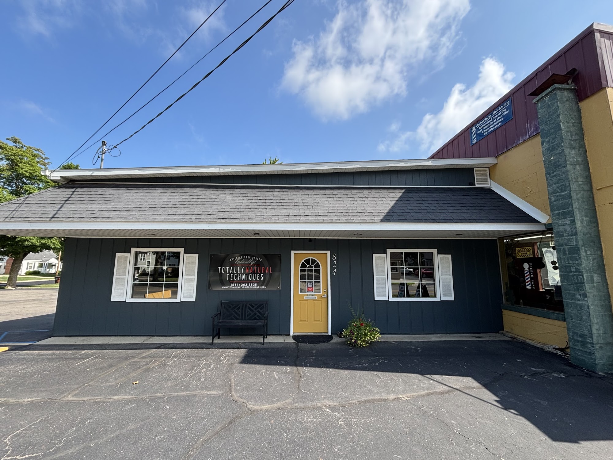 Totally Natural Techniques 824 W Maumee St, Adrian Michigan 49221