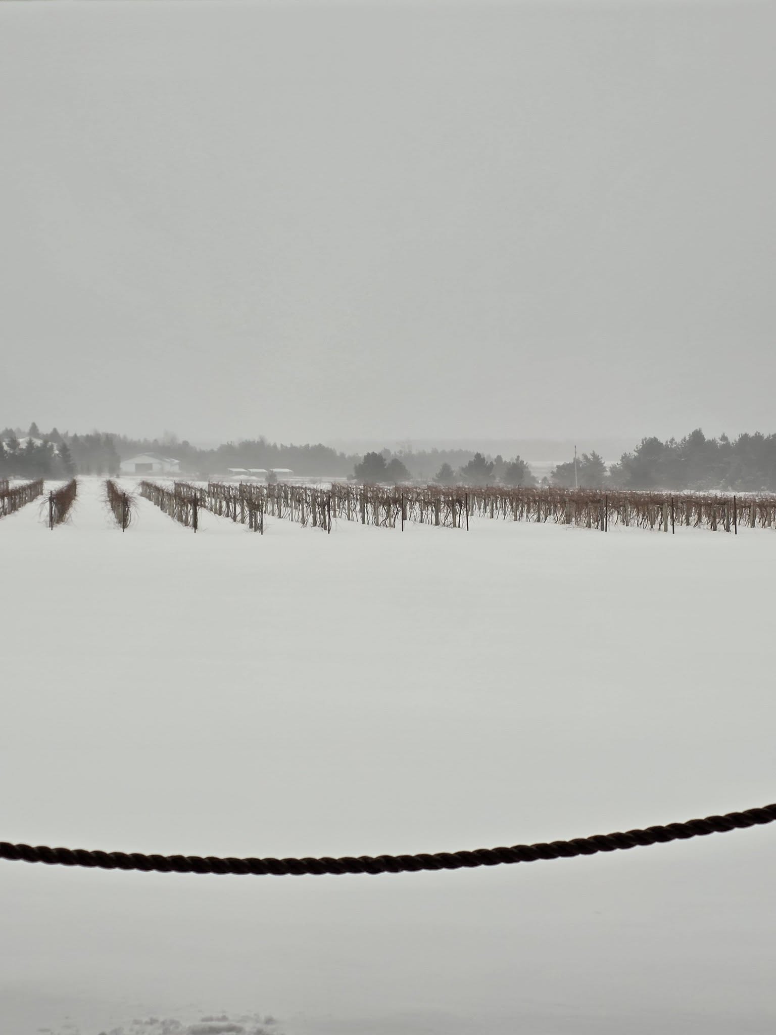 Crooked Vine Vineyard & Winery Alanson