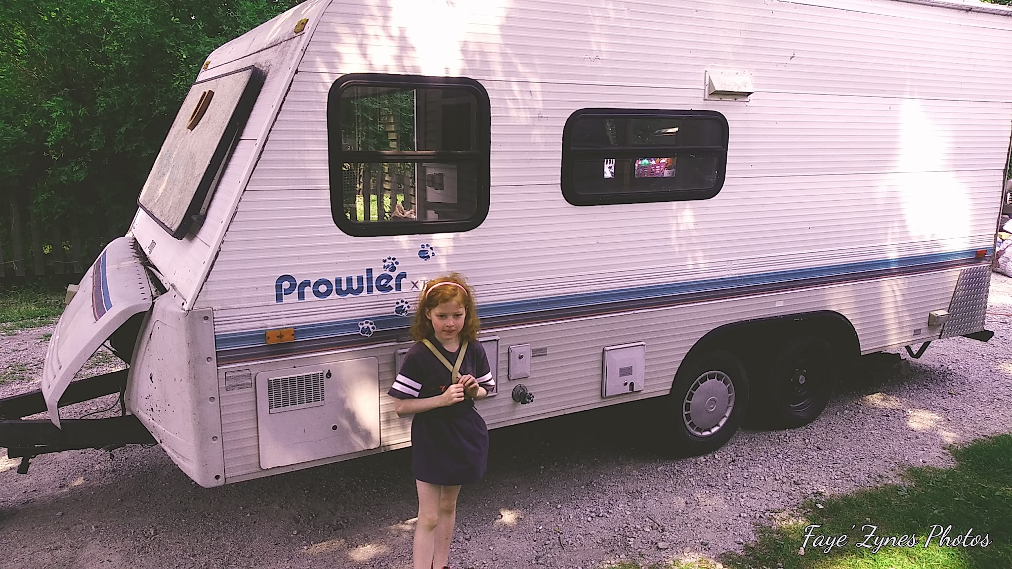 Debbie's Dog Grooming Algonac