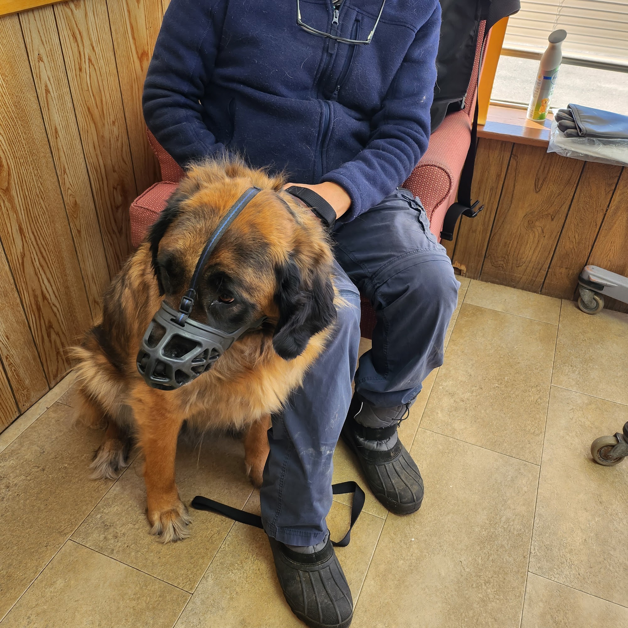 Almont-Dryden Veterinary Clinic Almont