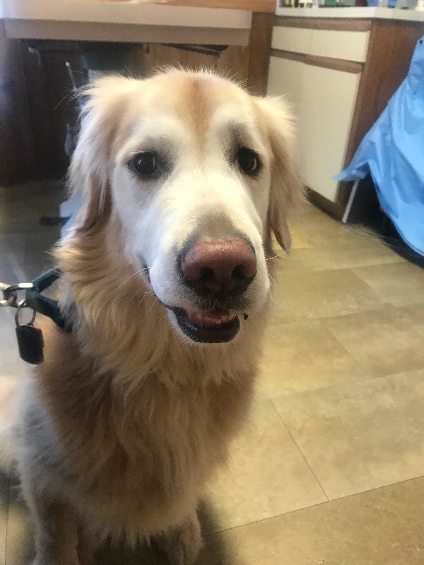 Almont-Dryden Veterinary Clinic Almont