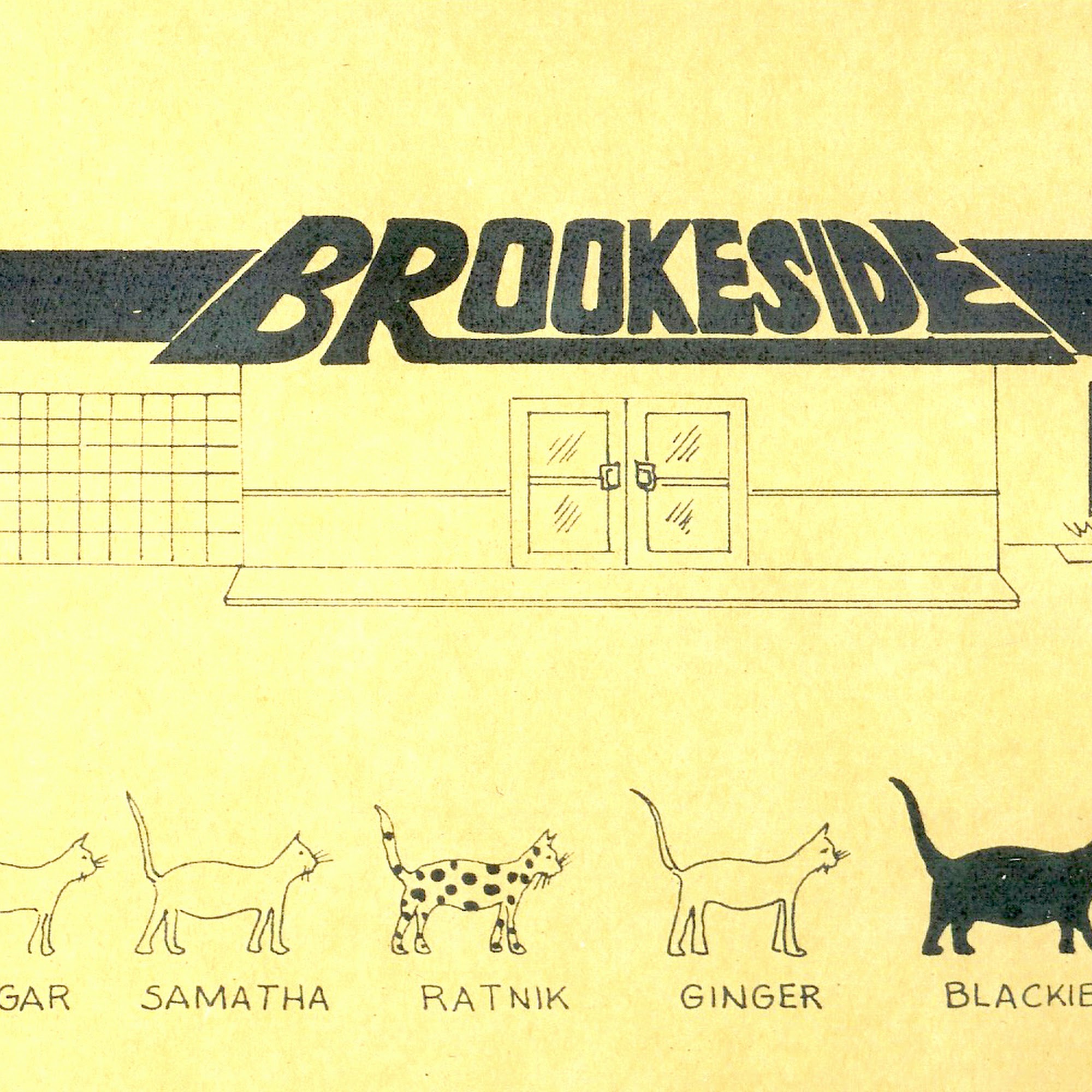 Brookeside Veterinary Hospital Ann Arbor