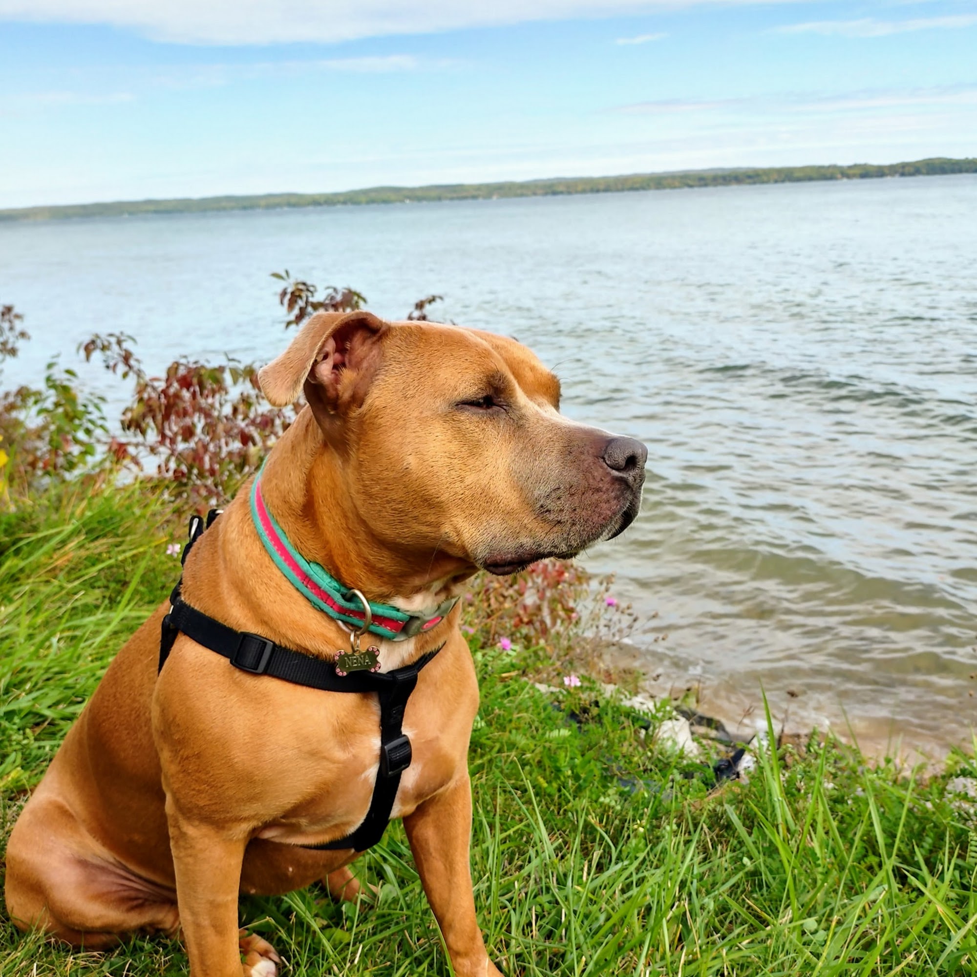 Veterinary Clinic at the Humane Society of Huron Valley Ann Arbor