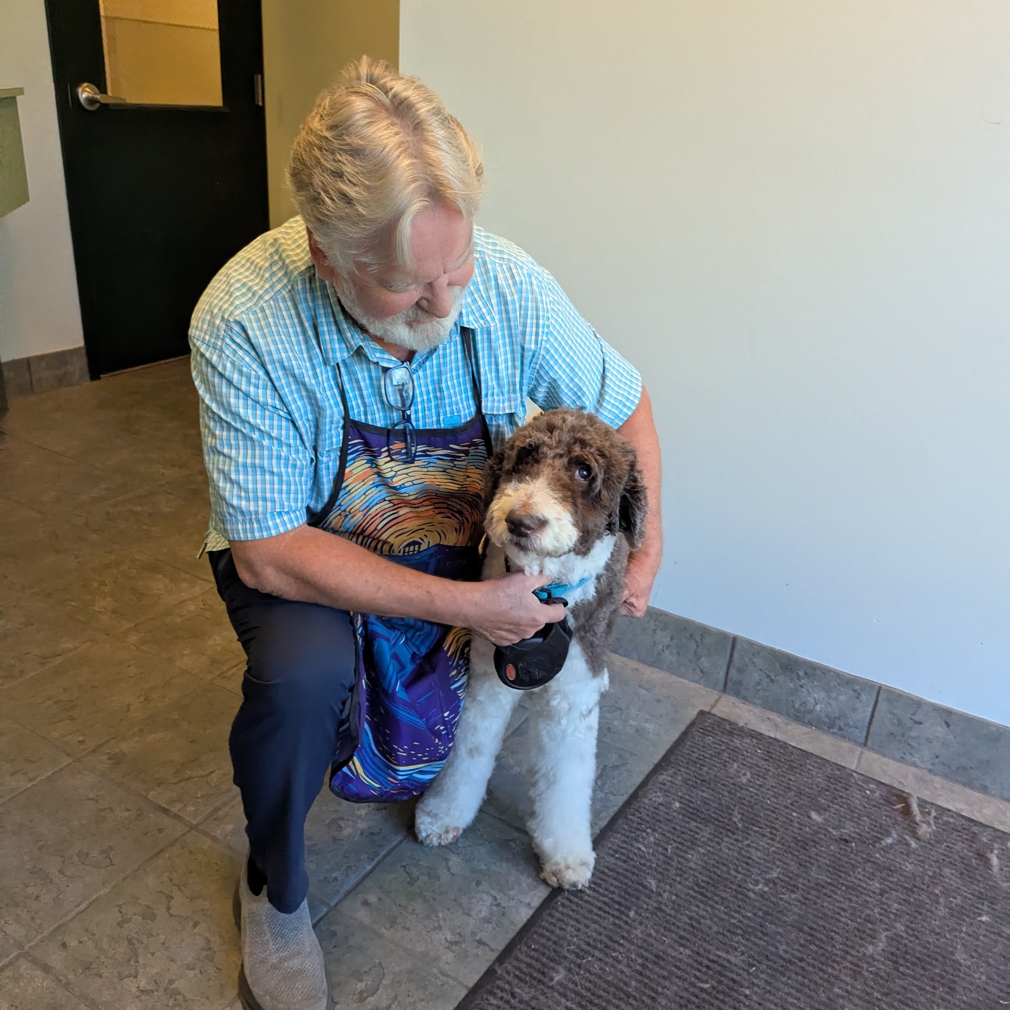 Groom N Go Ann Arbor