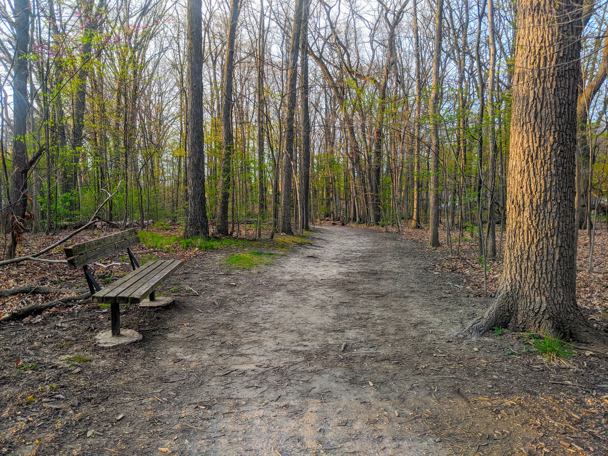Fritz Park Ann Arbor