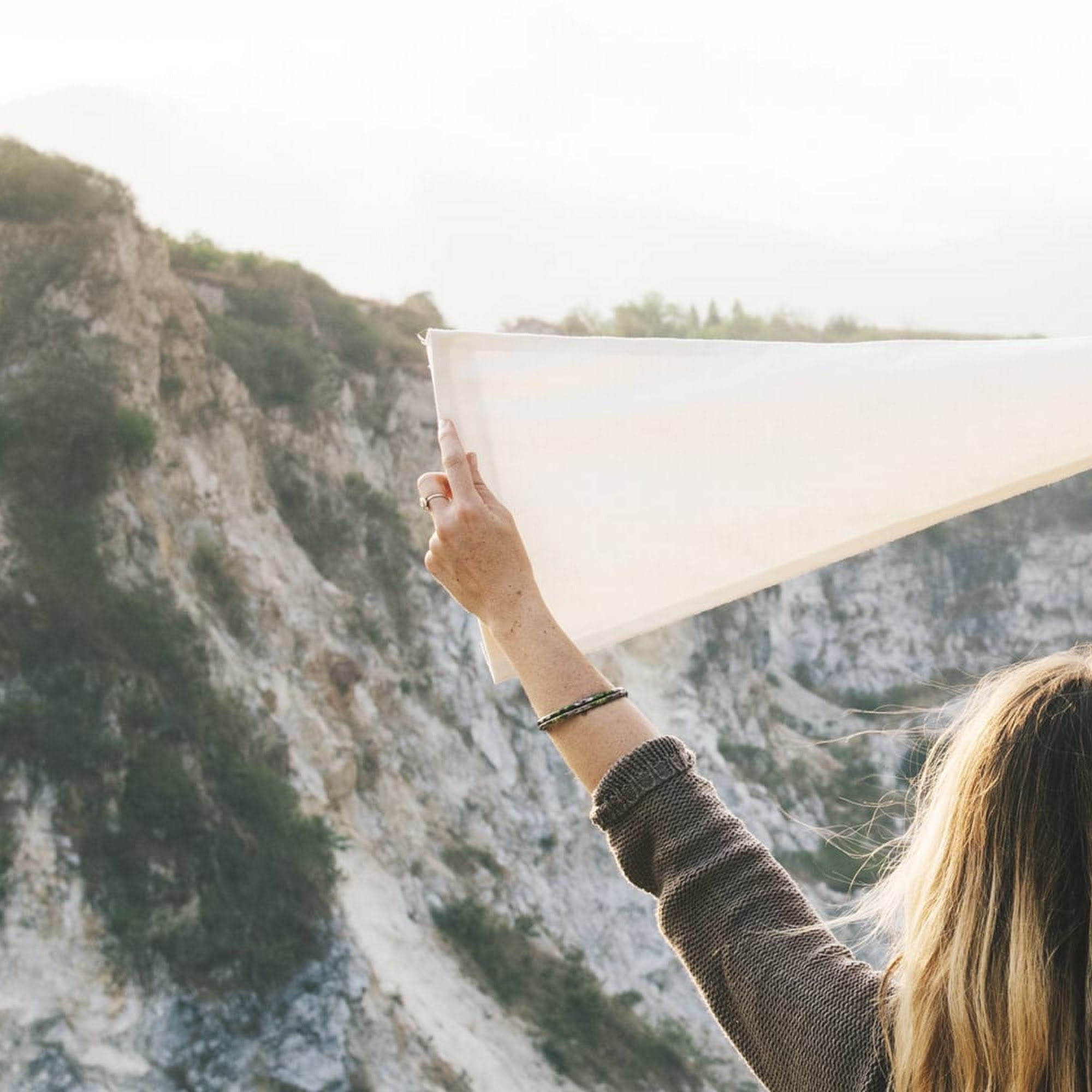 Lotus Consulting, PLLC 204 E Washington St, Ann Arbor Michigan 48104